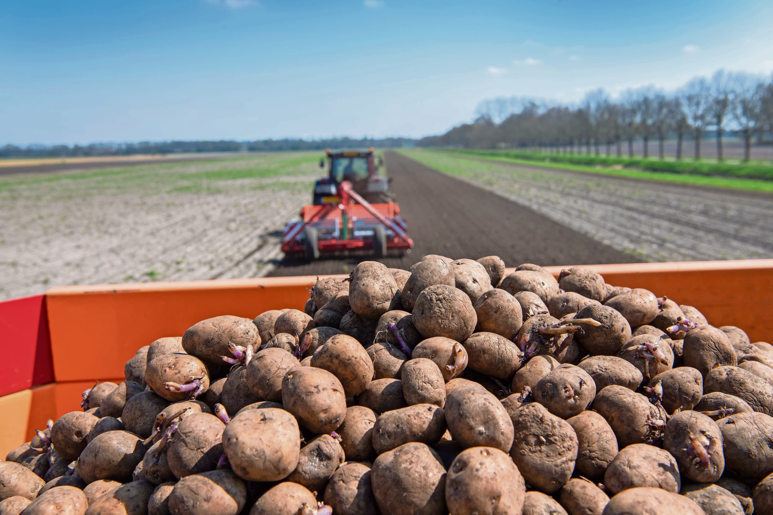 duurzame akkerbouw veenkoloniën