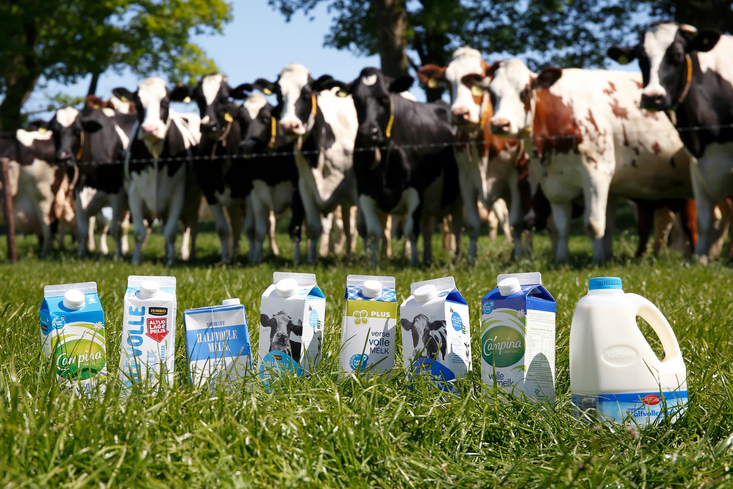 boeren niet ondernemend