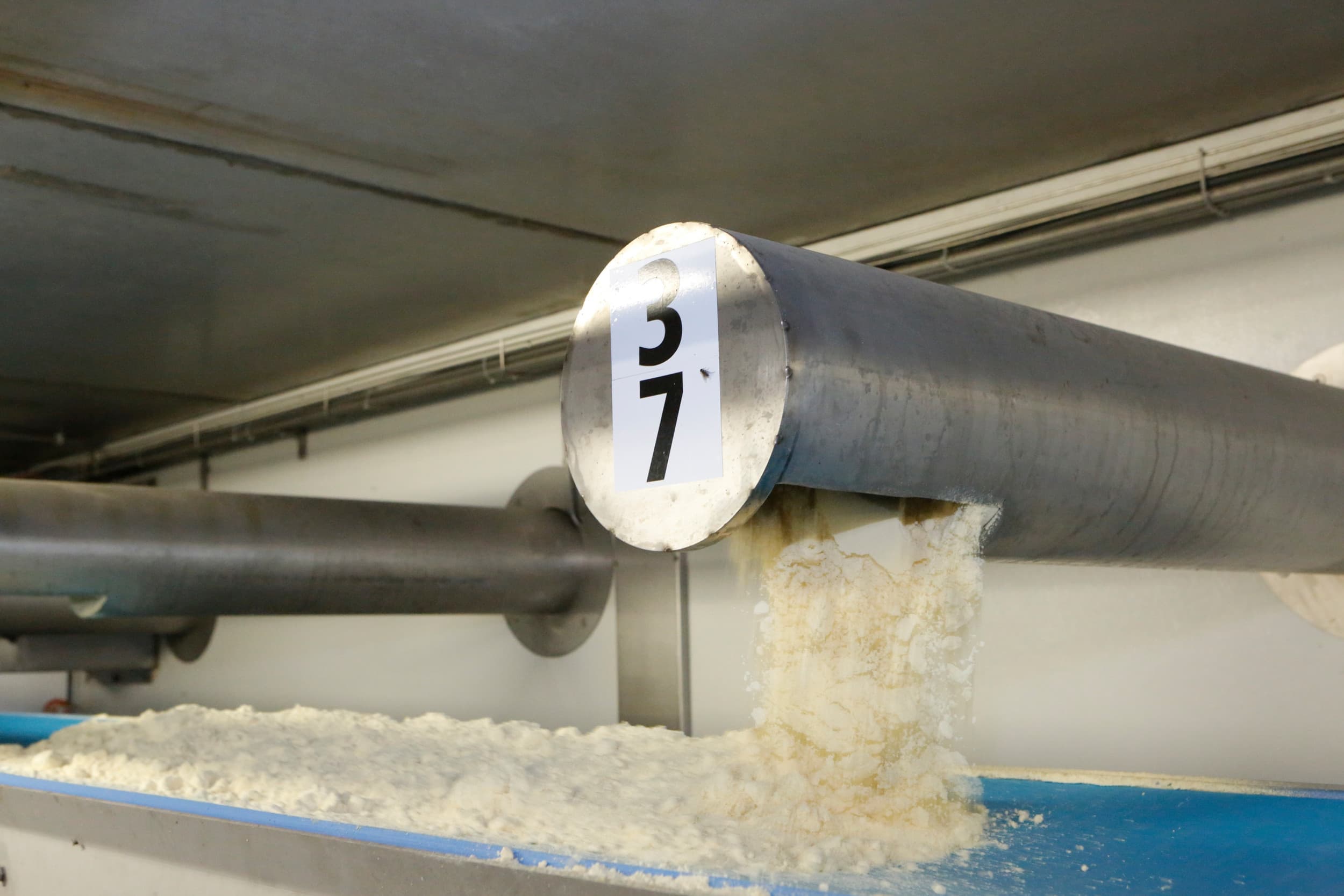 Vollemelkpoeder zakt op de GDT-veiling van dinsdag met 1,6% tot $3.142 per ton. –  Foto: Henk Riswick