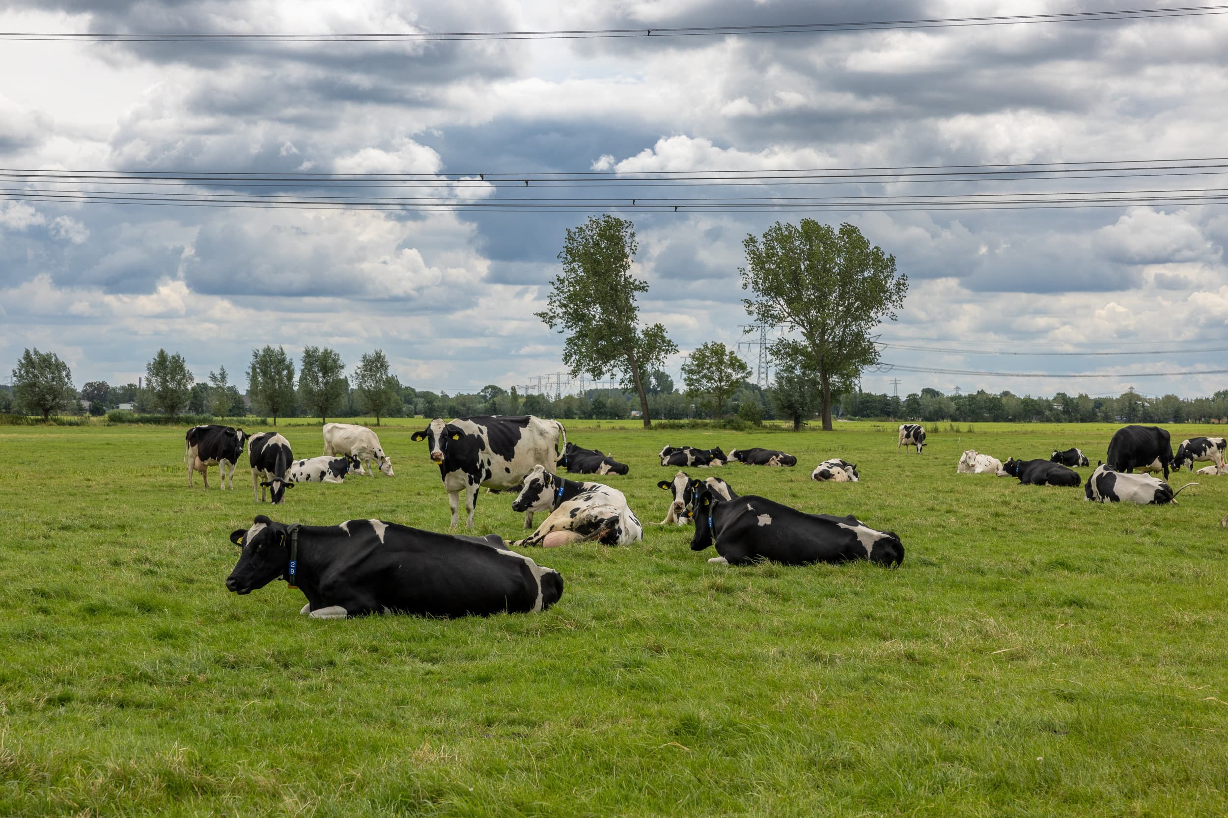 klimaatopgave groot