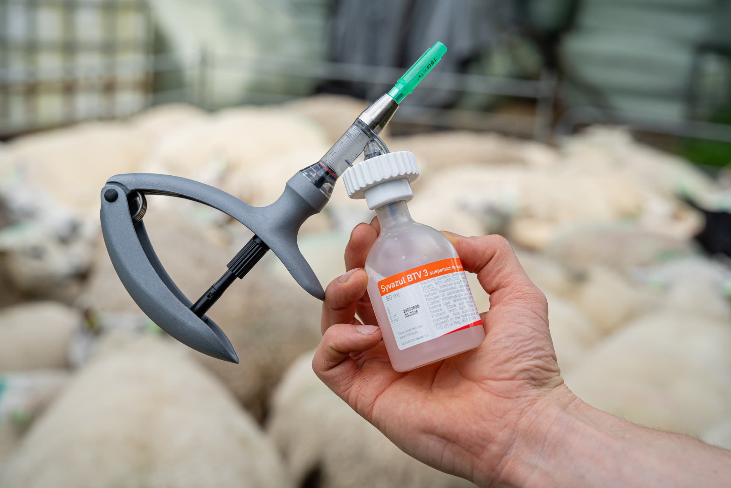 melding van verminderde werking vaccin blauwtong