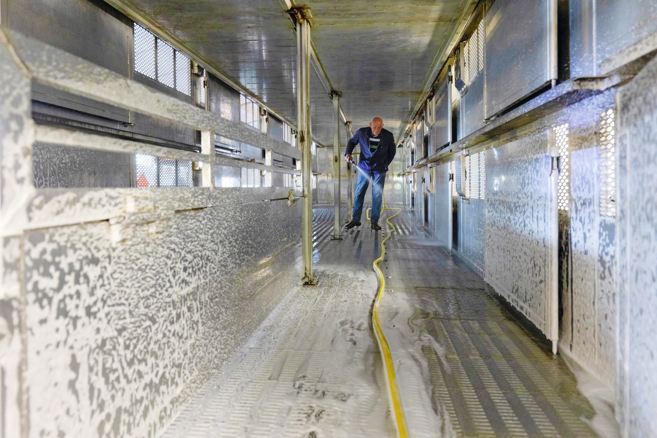 Het reinigen en ontsmetten van vrachtwagens is extra belangrijk met de dreiging van Afrikaanse varkenspest. – Foto: Herbert Wiggerman