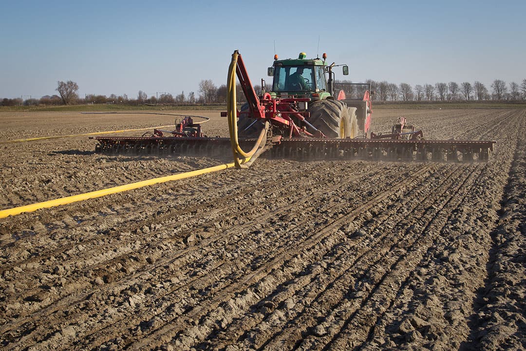 Bij bemesting met dierlijke mest is sprake van een significant lagere stikstofbenutting door gras ten opzichte van bemesting met kunstmest, maar dat leidt niet tot hogere uitspoeling naar het bovenste grondwater. Dat blijkt uit meerjarig onderzoek door Wageningen UR. - Foto: Peter Roek