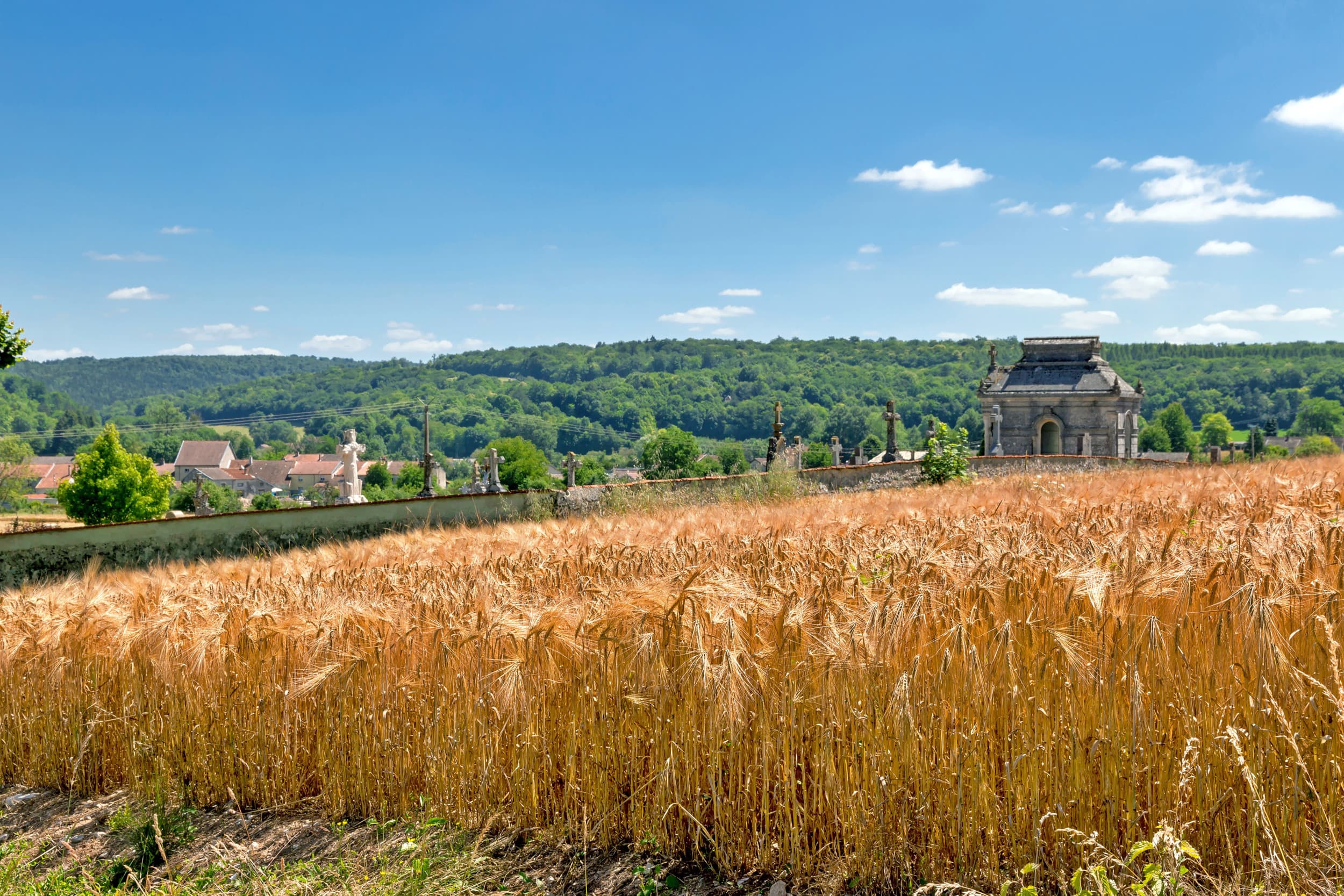 biologisch boeren in Frankrijk