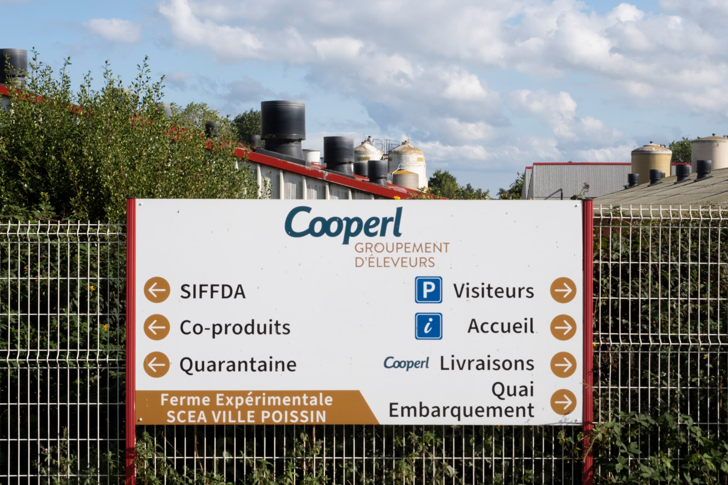 De opstandelingen zijn vooral ontevreden over Cooperl's lagere varkensprijs door het vermijden van de transparante Marché du Porc Breton-veiling en de verplichting om alle dieren aan Cooperl's abattoirs te leveren. – Foto: Twan Wiermans