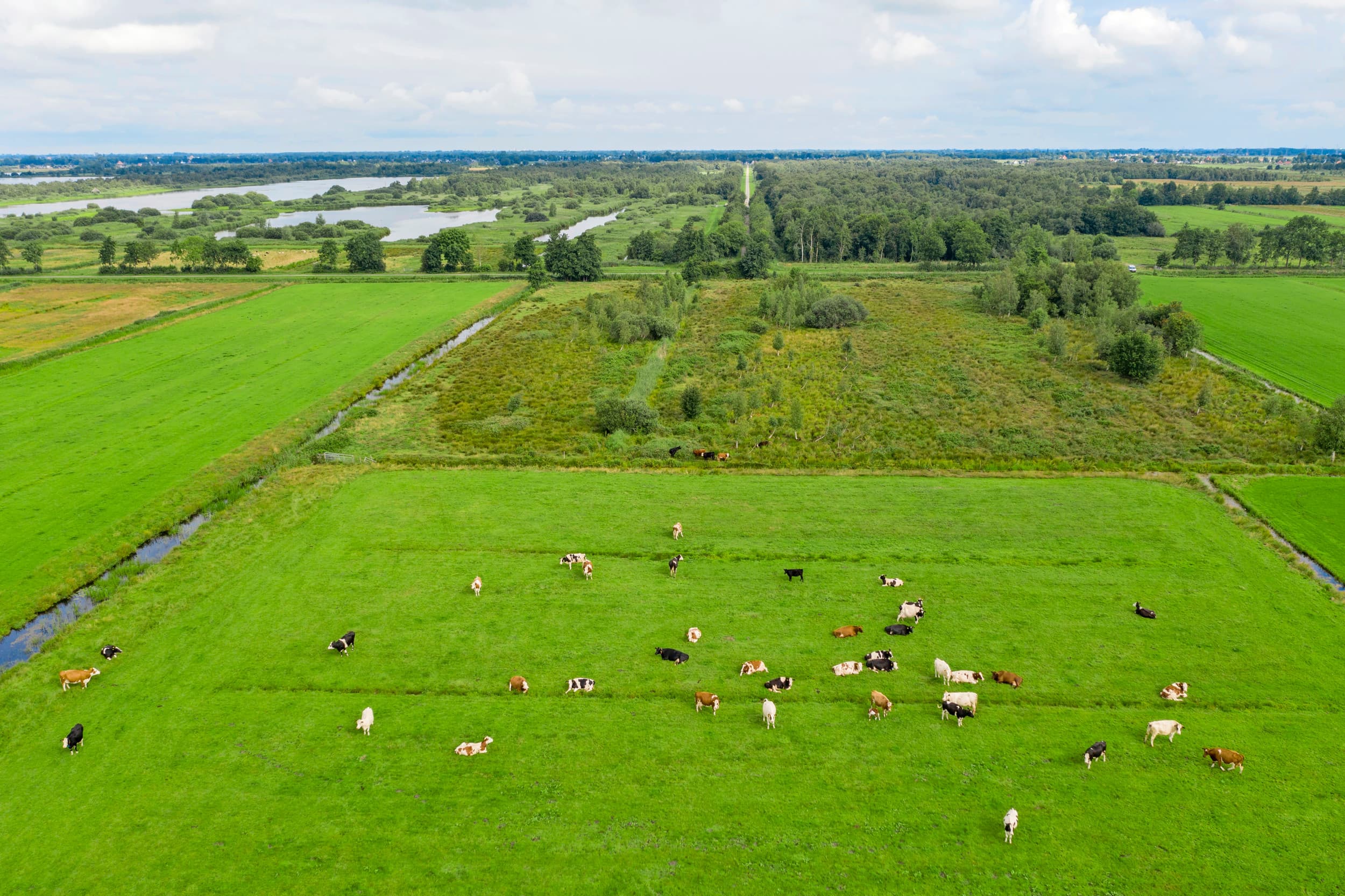 Foto: Anne van der Woude