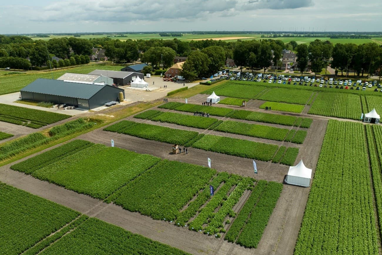 landbouwinnovatie in de veenkoloniën