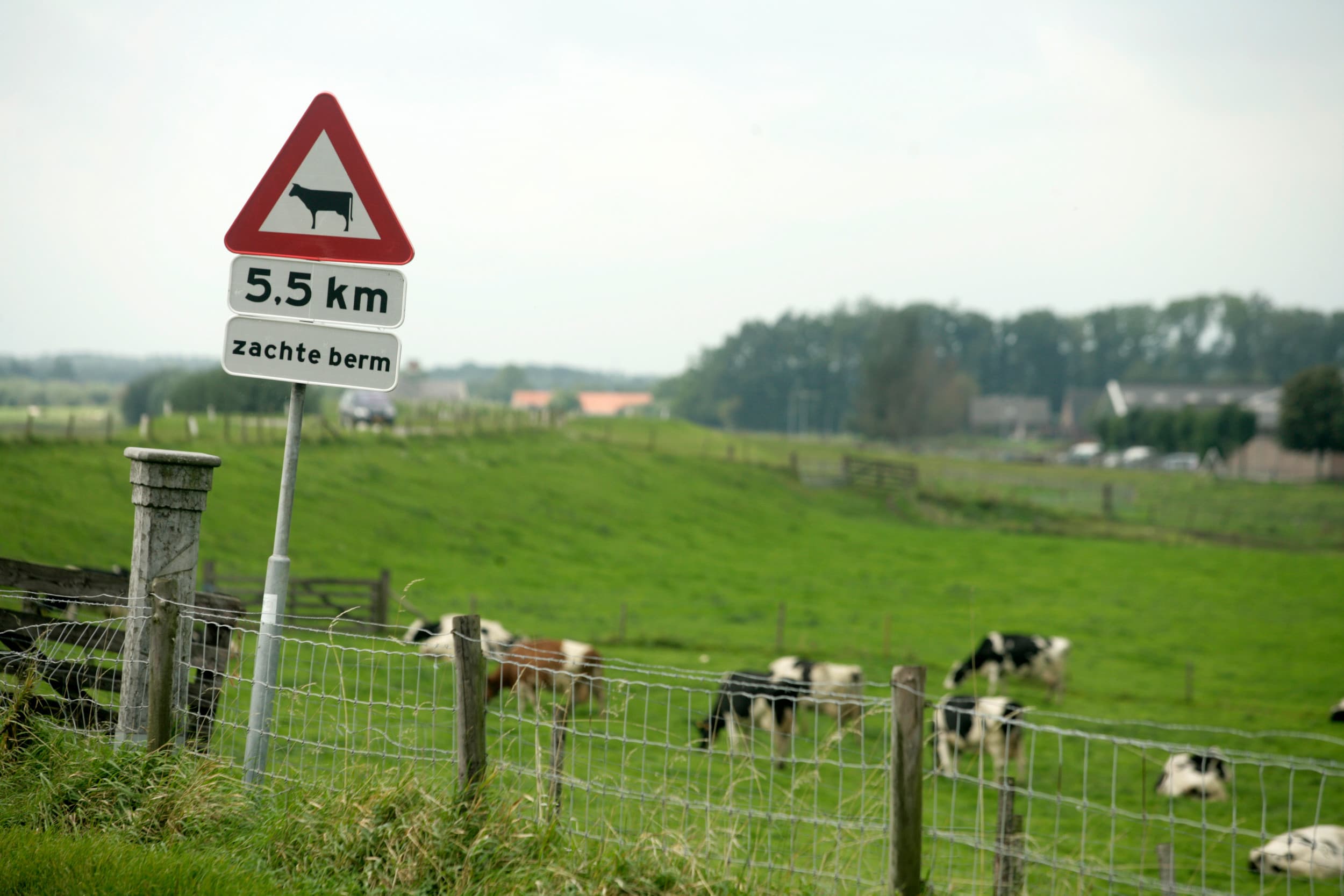 Dijk en uiterwaarden bij Amerongen (Utr.). Sinds vorig jaar zomer kan vrijgekomen stikstofruimte in Utrecht worden opgeslagen in de provinciale stikstofdepositiebank. – Foto: Koos Groenewold