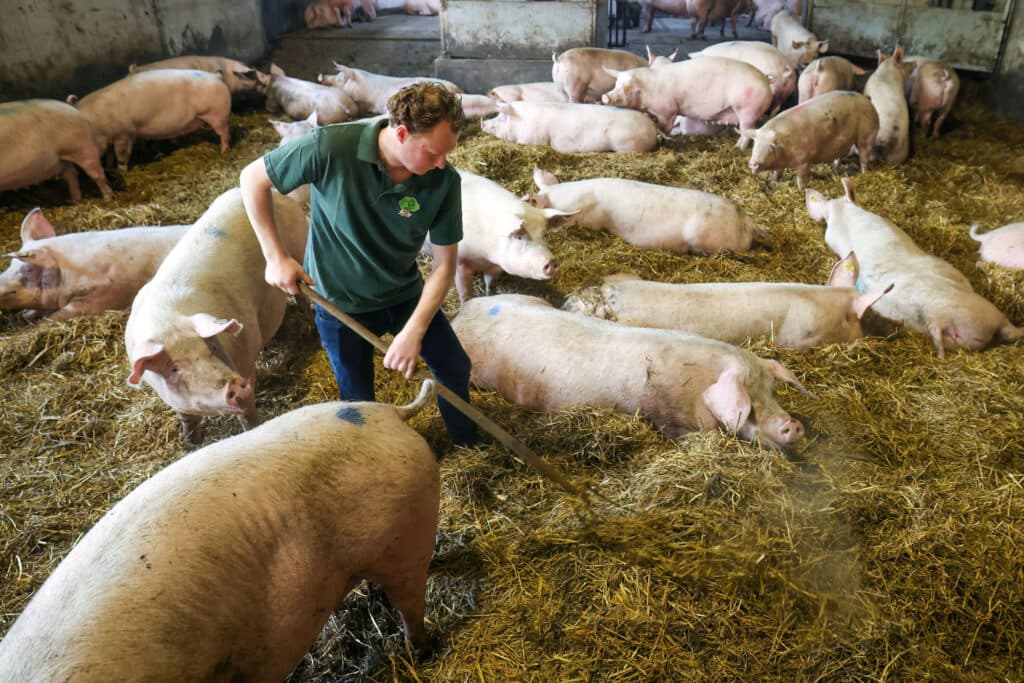 Tim: “Al vanaf mijn 13e hielp ik mee op het boerenbedrijf.”