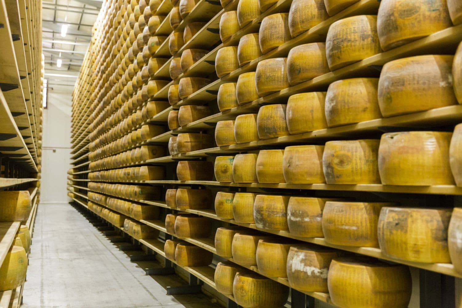 Opslag van kaas in Italië. In het eerste kwartaal van dit jaar groeide de wereldhandel in kaas met 5,8% tot bijna 700.000 ton. – Foto: Canva