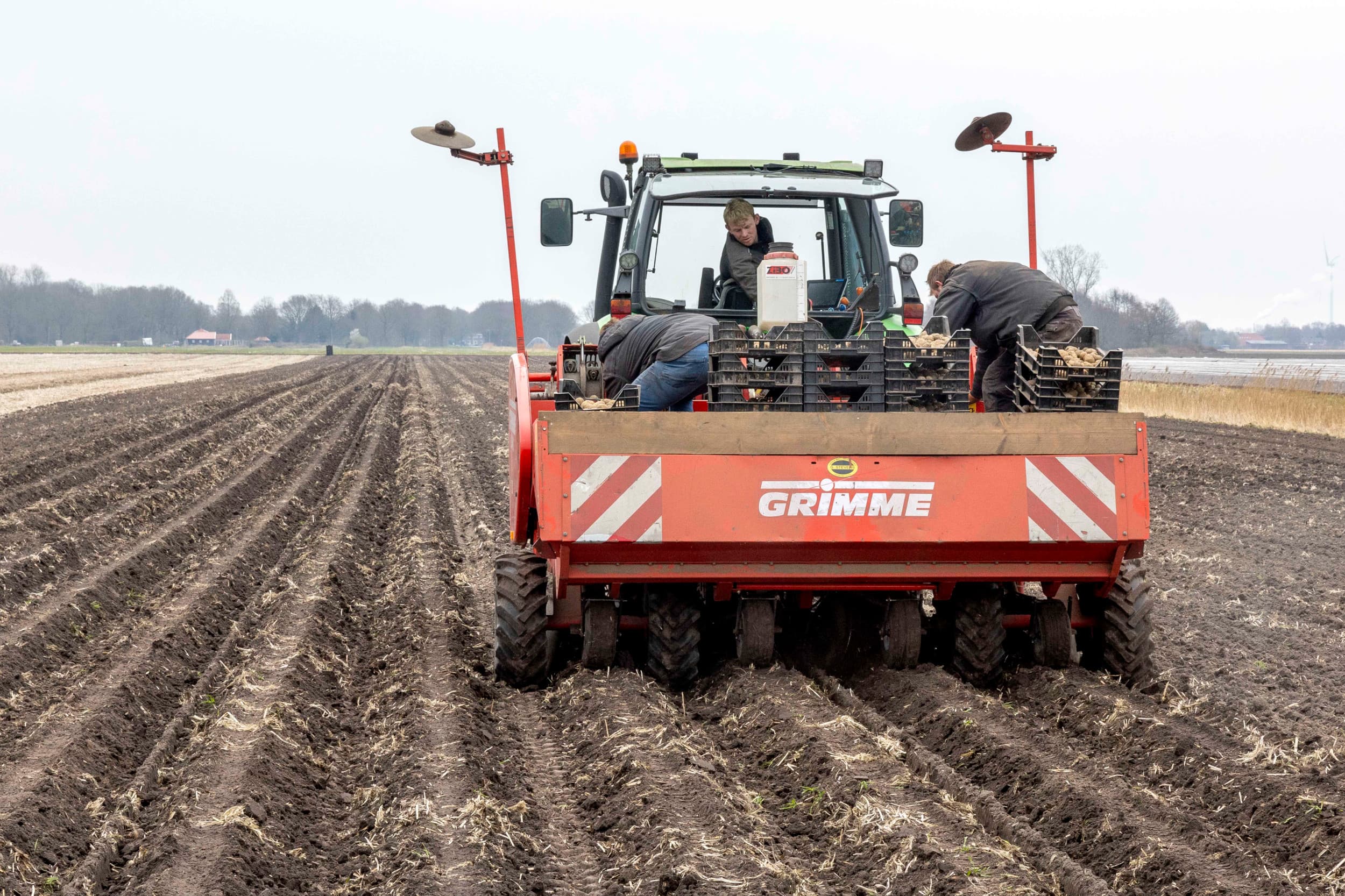 Het pootgoedareaal dat voor 2024 bij NAK is aangegeven voor keuring is 38.503 hectare. – Foto: Koos van der Spek