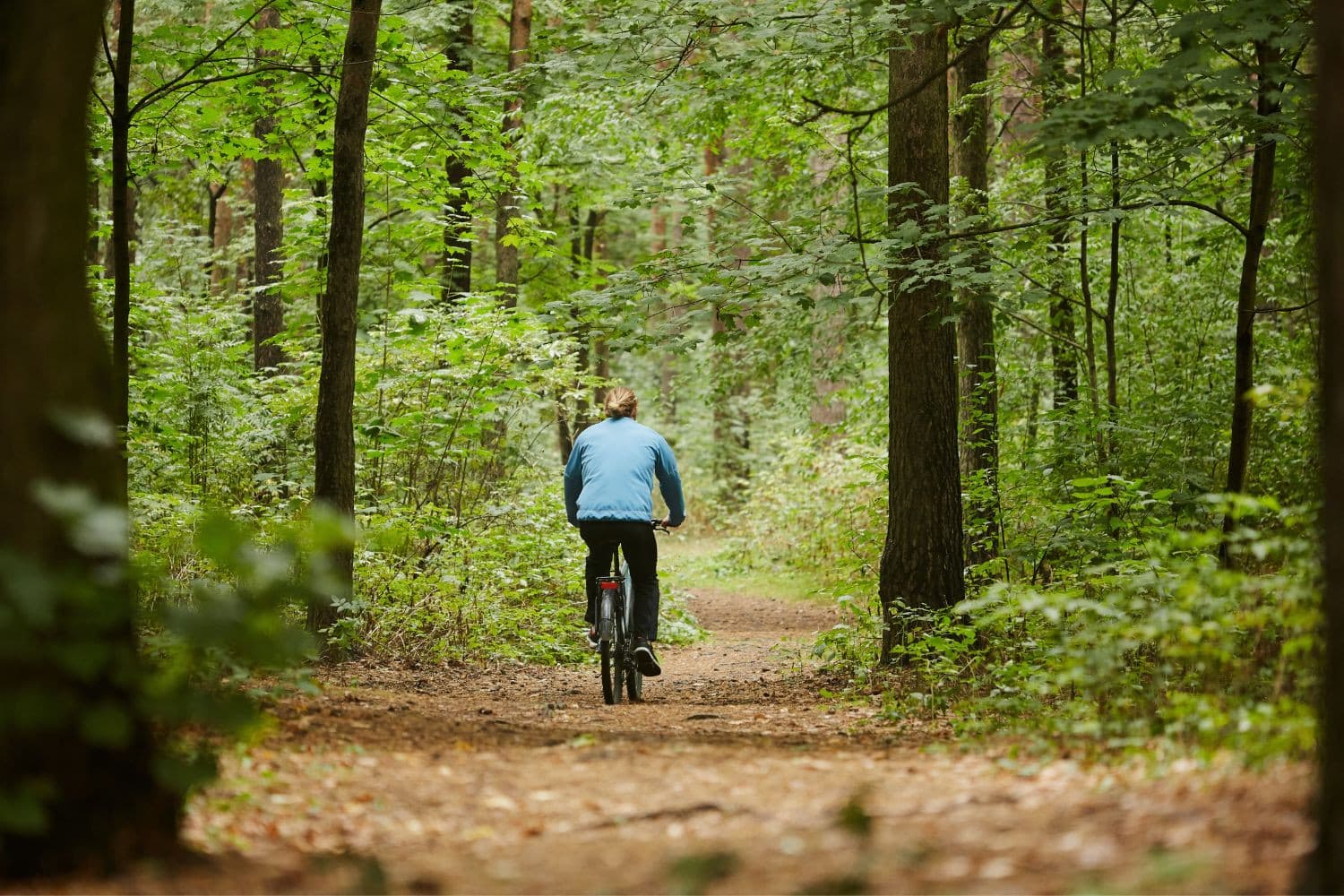 De veehouders hadden het fiets- en wandelpad, dat officieel openbaar en in de legger opgenomen is, niet onderhouden en daardoor ontoegankelijk gemaakt. Beeld ter illustratie. – Foto: Canva