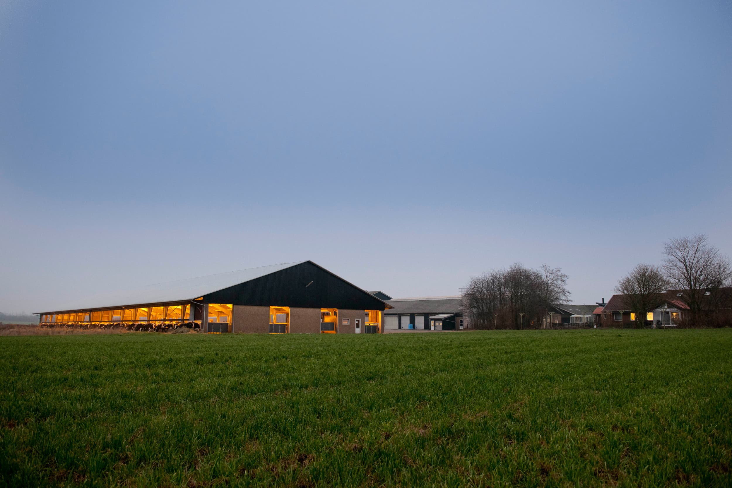 De Deense regering werkt aan plannen voor de instelling van een grondfonds van bijna een miljard euro om Deense boeren uit te kopen. – Foto: Mark Pasveer