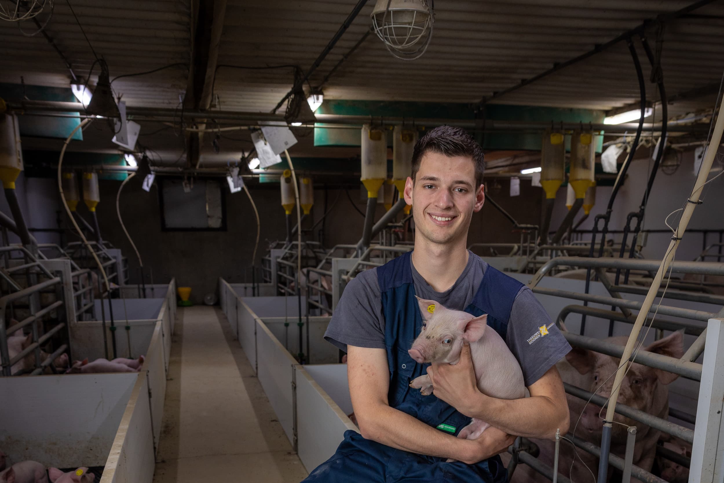 Opvolger Luuk Stevens heeft met zijn ouders een gesloten varkensbedrijf in Hilvarenbeek. – Foto’s: Peter Roek