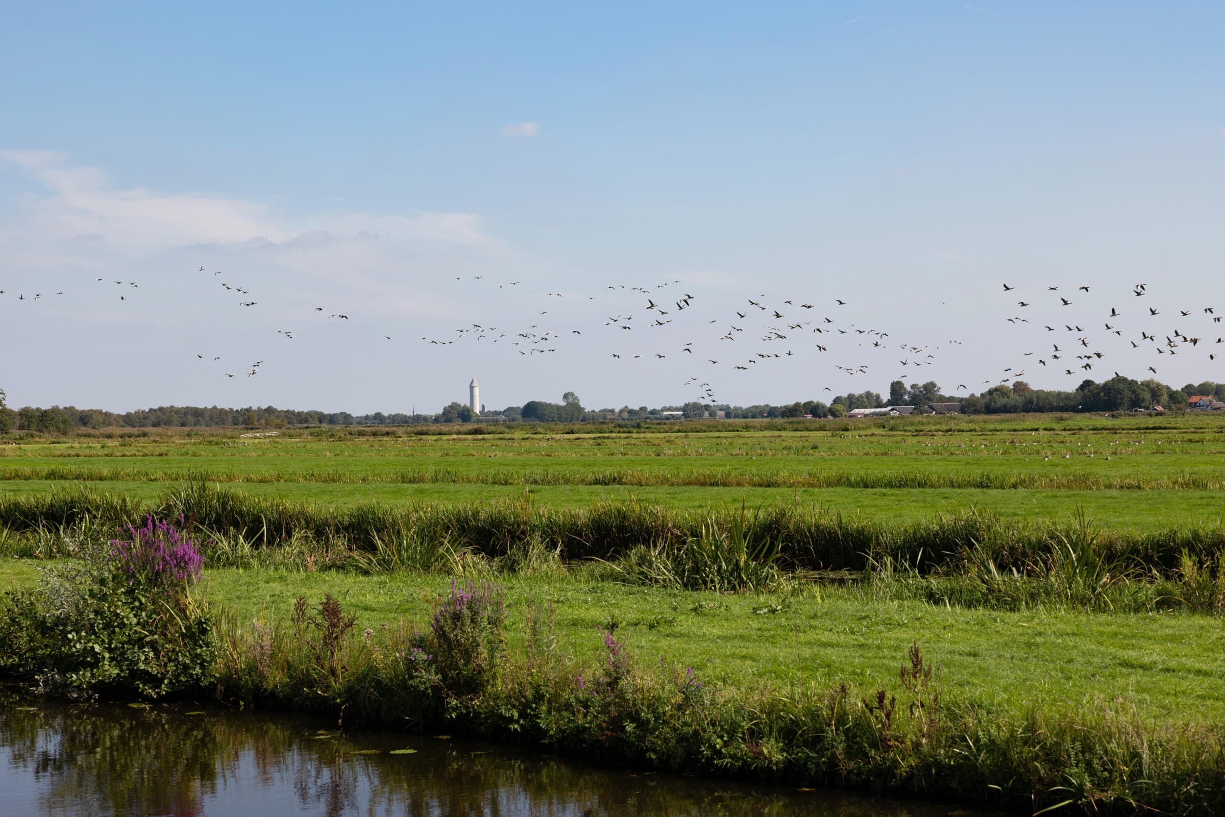 De provincie Utrecht draagt financieel bij aan de herinrichting van het perceel en de aanleg van het bos. – Foto: Herbert Wiggerman