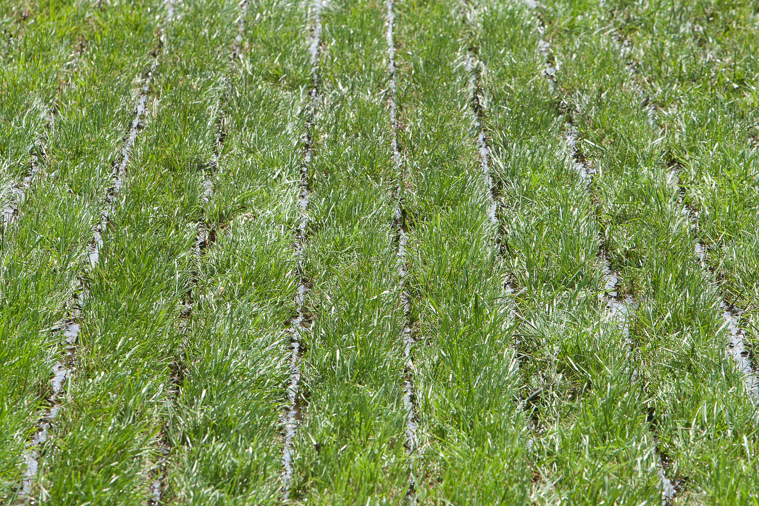 Tips en trucs om met bestaande techniek zo netjes mogelijk (en daardoor met minder verlies van stikstof) te bemesten is een van de thema’s op de Grasdag. – Foto’s: Bemest op z’n Best / Niels van der Boom