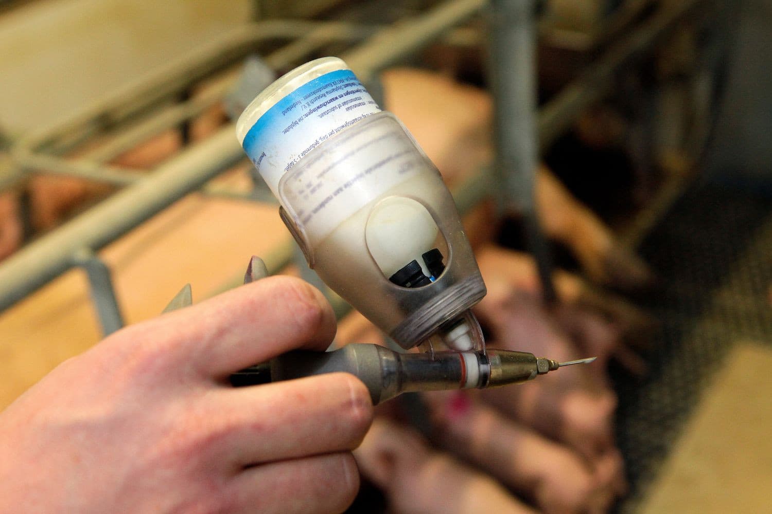 De Autoriteit Diergeneesmiddelen meldt in zijn jaarlijkse update dat het antibiotica gebruik in de veehouderij in de meeste sectoren afgelopen jaar stabiel is gebleven. – Foto: Koos Groenewold