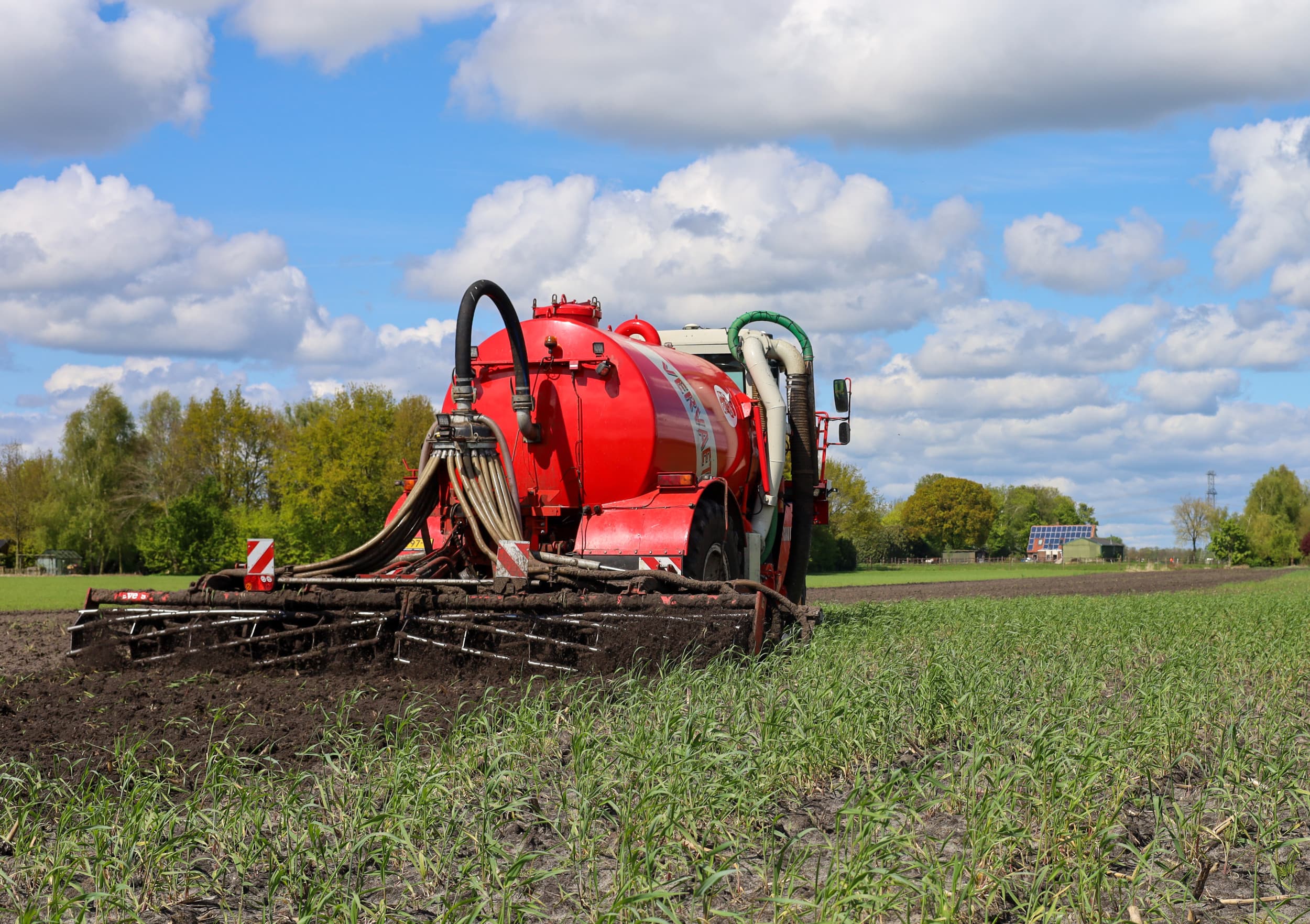 Niek Altena, medewerker van Loon- en grondverzetbedrijf Van de Peppel uit Dedemsvaart (Ov.), rijdt met een driewielige Vervaet-zelfrijder waarachter een 6 meter brede Toric-schijvenbemester is gemonteerd. Zie het grote verschil door de bewerking van het Italiaans raaigras.- Foto's: Evers