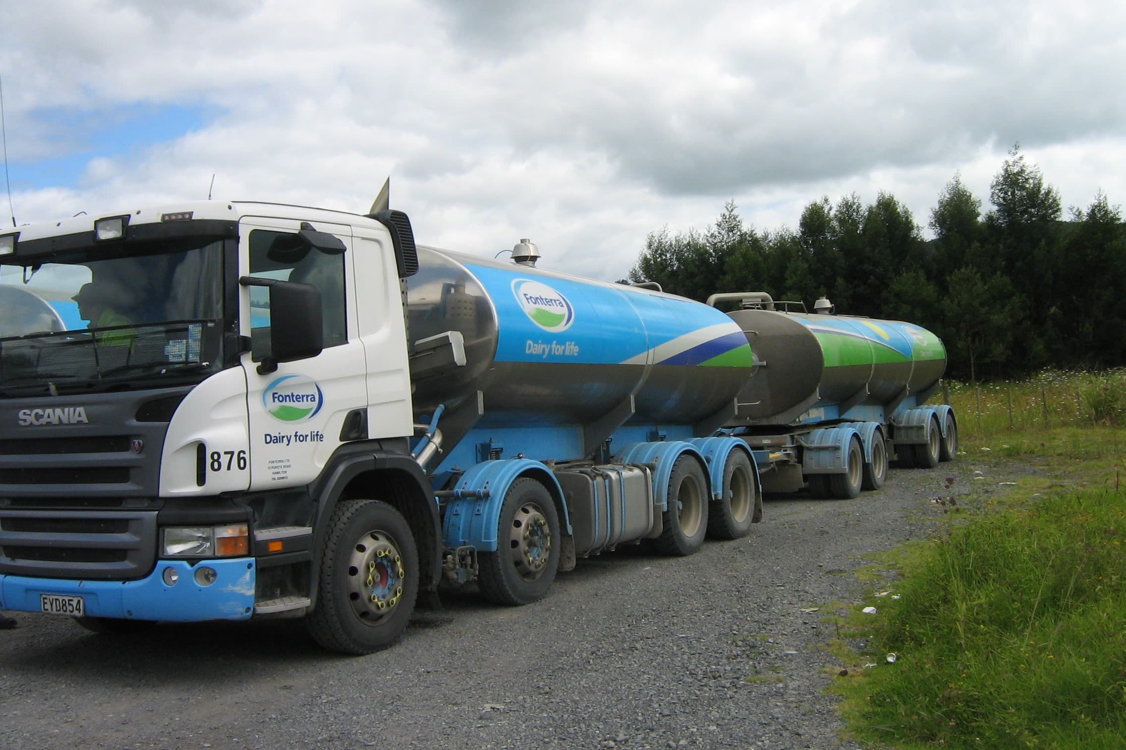Het nieuwe zuivelseizoen in Nieuw-Zeeland gaat florissant van start met een prijsstijging van 1,7% op de zuivelveiling GDT. Bovendien heeft zuivelconcern Fonterra een licht hogere prijs afgegeven voor het nieuwe melkjaar. – Foto: Misset