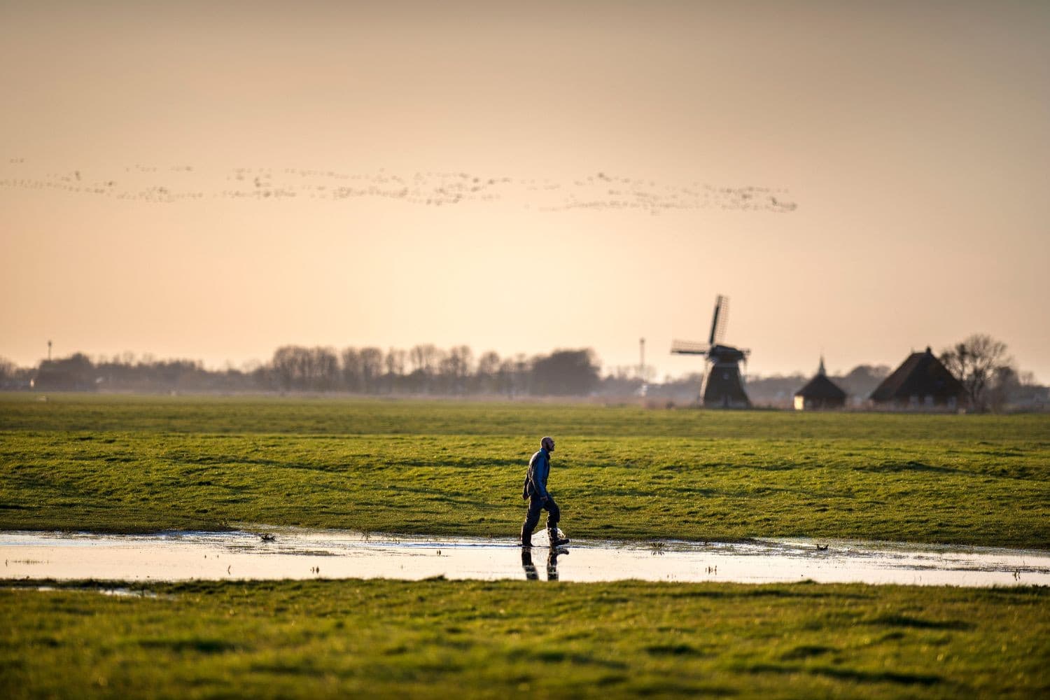 Boerenorganisaties zijn niet blij met het besluit om de natuurherstelwet alsnog te accorderen. – Foto: Mark Pasveer