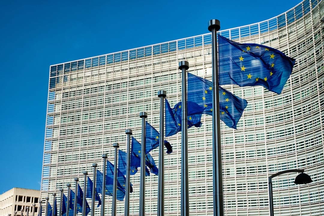 Het aantal Nederlandse landbouwwoordvoerders blijft naar verwachting op drie steken. VVD en CDA verliezen hun landbouwpoliticus, terwijl de BBB twee zetels veroverde. De SGP behoudt zijn kandidaat. - Foto: Canva