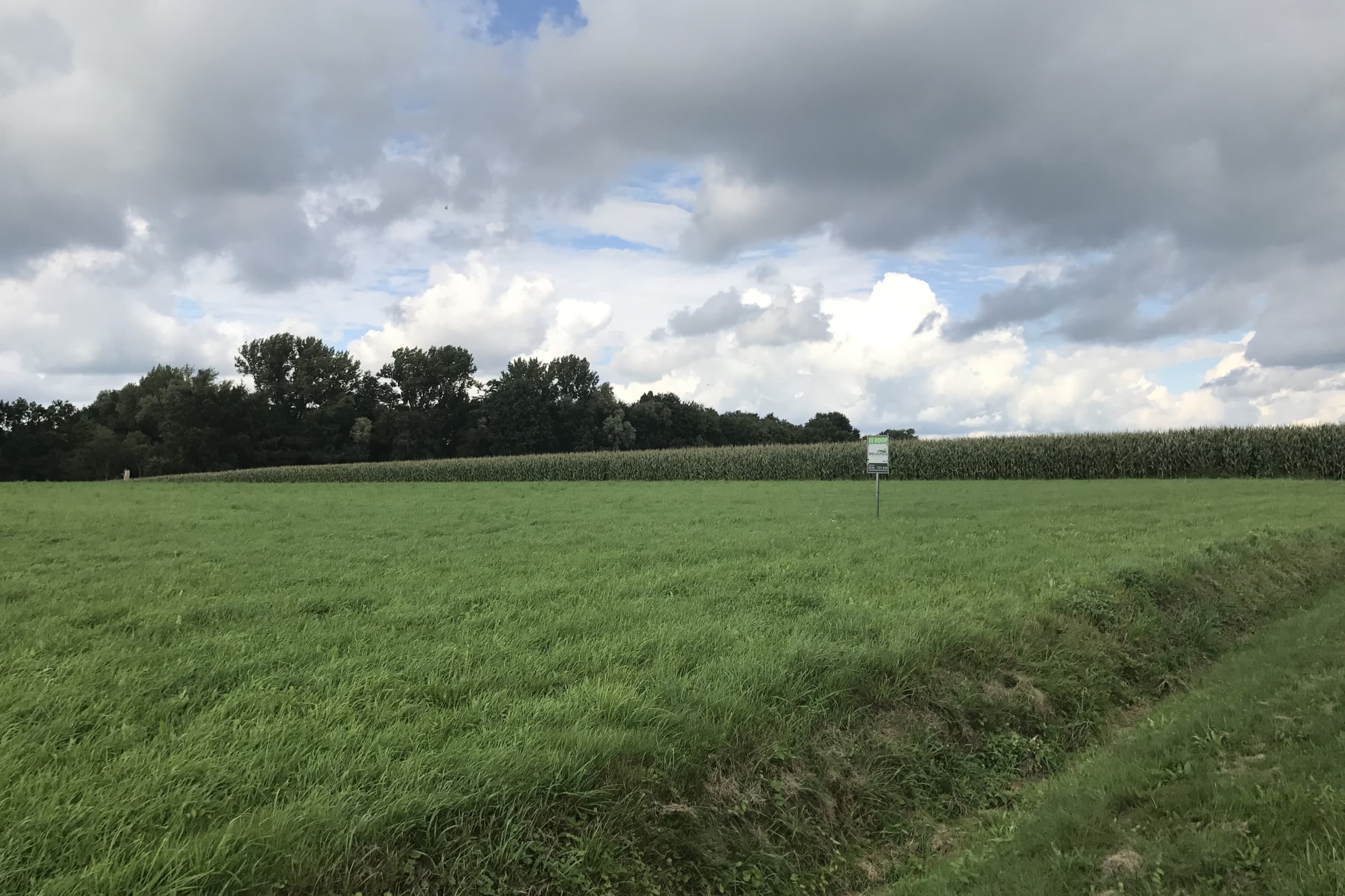 De verschillen in pachtnormen tussen de regio’s zijn groot. – Foto: Redactie Boerderij