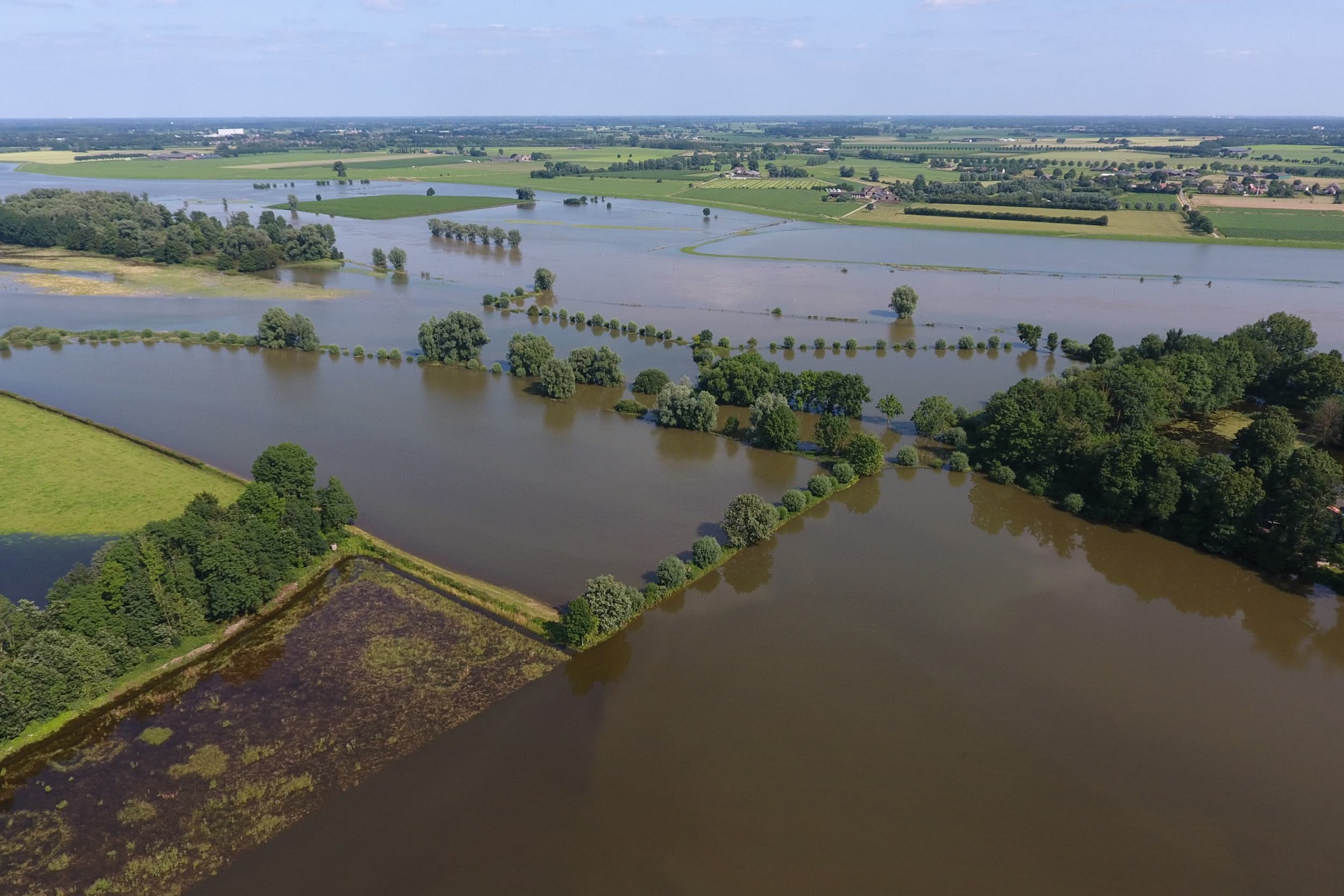 Hoog water in de uiterwaarden van de rivier de IJssel bij Spankeren. In de zomer van 2021 bereikte de IJssel als gevolg van de enorme wateroverlast in Limburg ook een zeer hoog waterpeil. – Foto: Henk Riswick