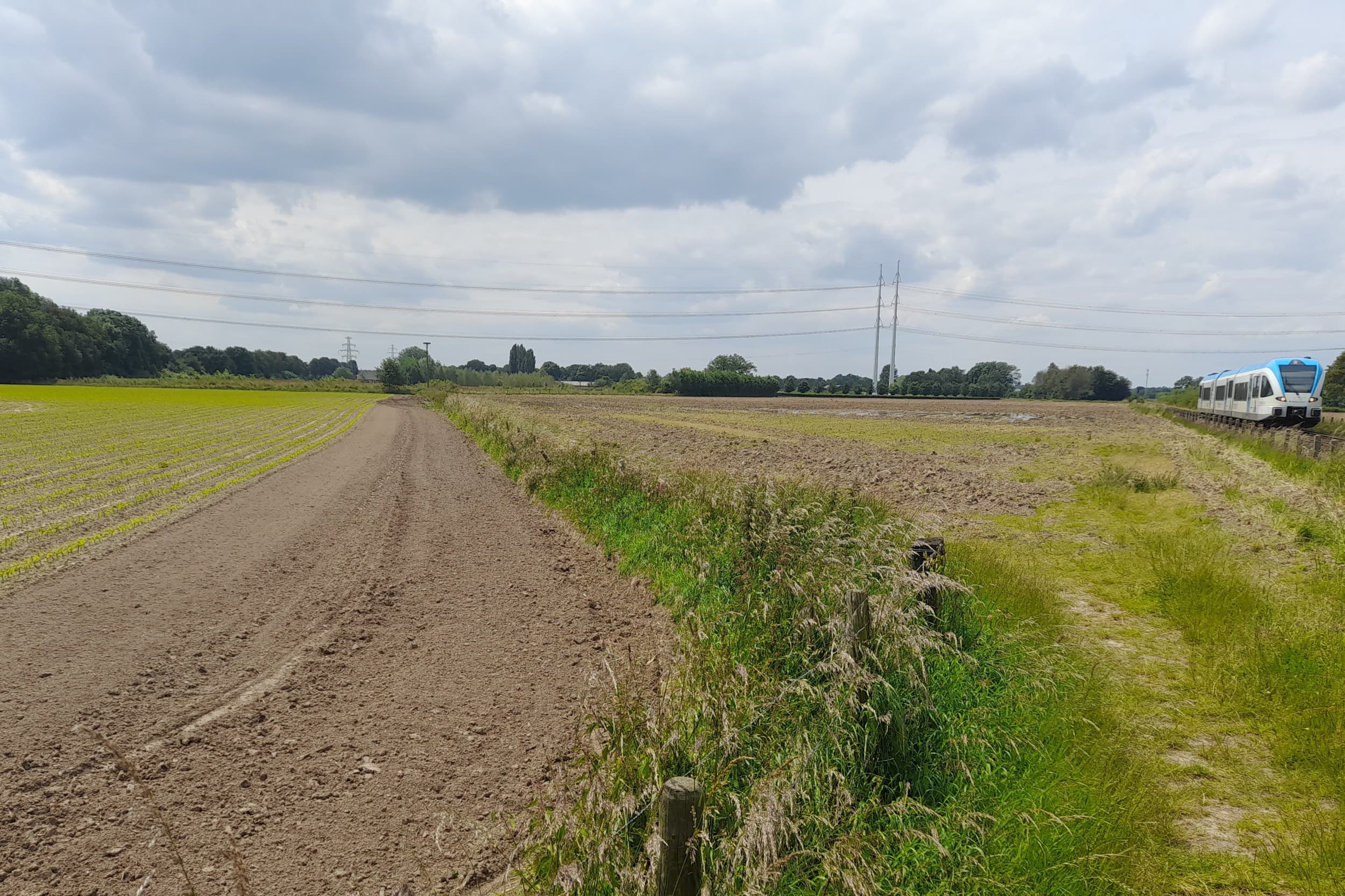 Percelen aangemeld als mais die nu anders gebruikt worden, moeten gewijzigd worden bij de Gecombineerde opgave, wat gevolgen kan hebben voor de mestplaatsingsruimte. Sommige percelen zijn nog onbewerkt, zoals het perceel rechts van de scheiding. Het perceel links is eind mei gezaaid. – Foto: Boerderij