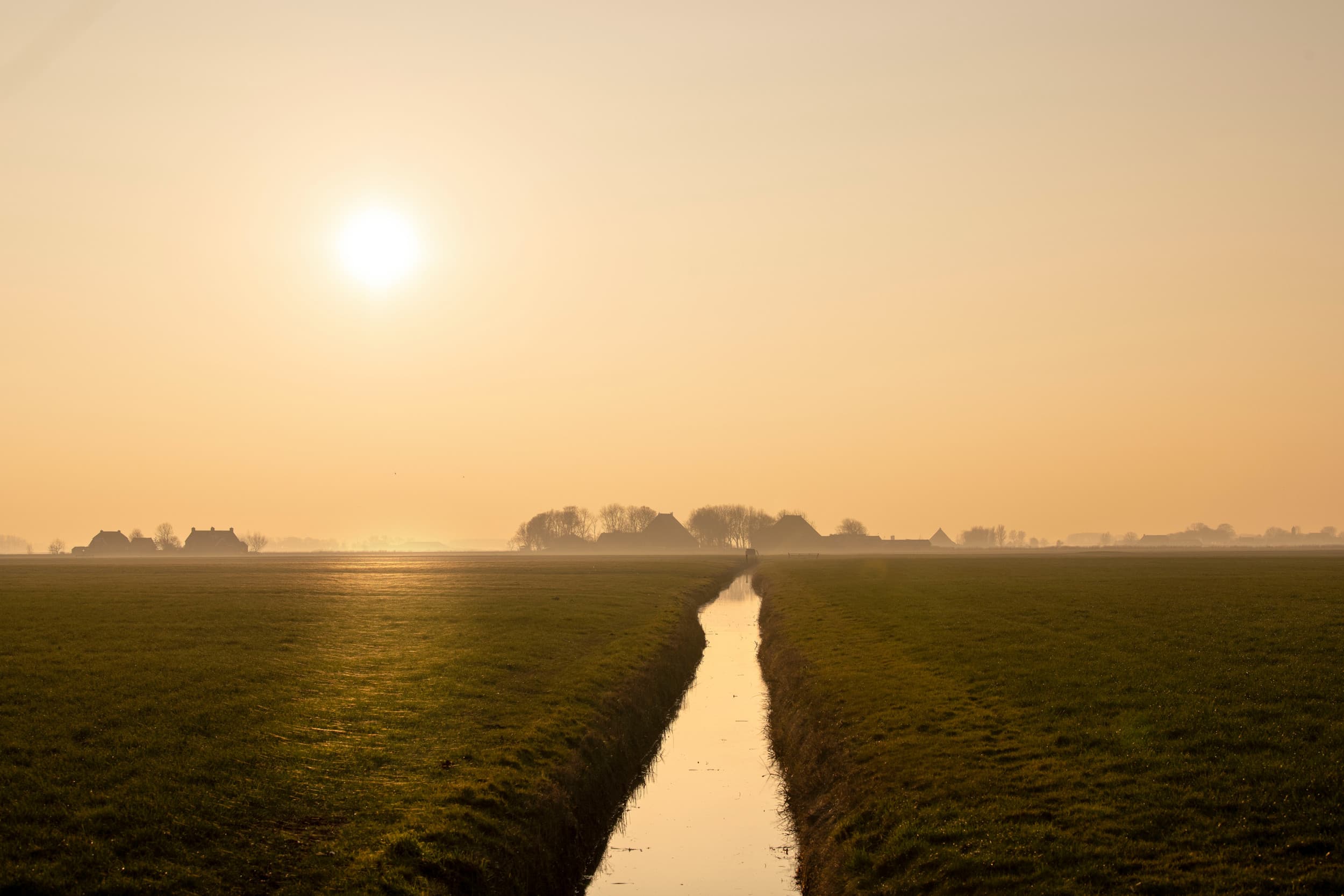 Terwijl Nederlandse boeren net wat beginnen te wennen aan de nieuwe GLB-systematiek met strengere basisvoorwaarden, landschapselementen en de ecoregeling, kijkt Brussel vooruit naar het nieuwe GLB vanaf 2028. – Foto: Mark Pasveer