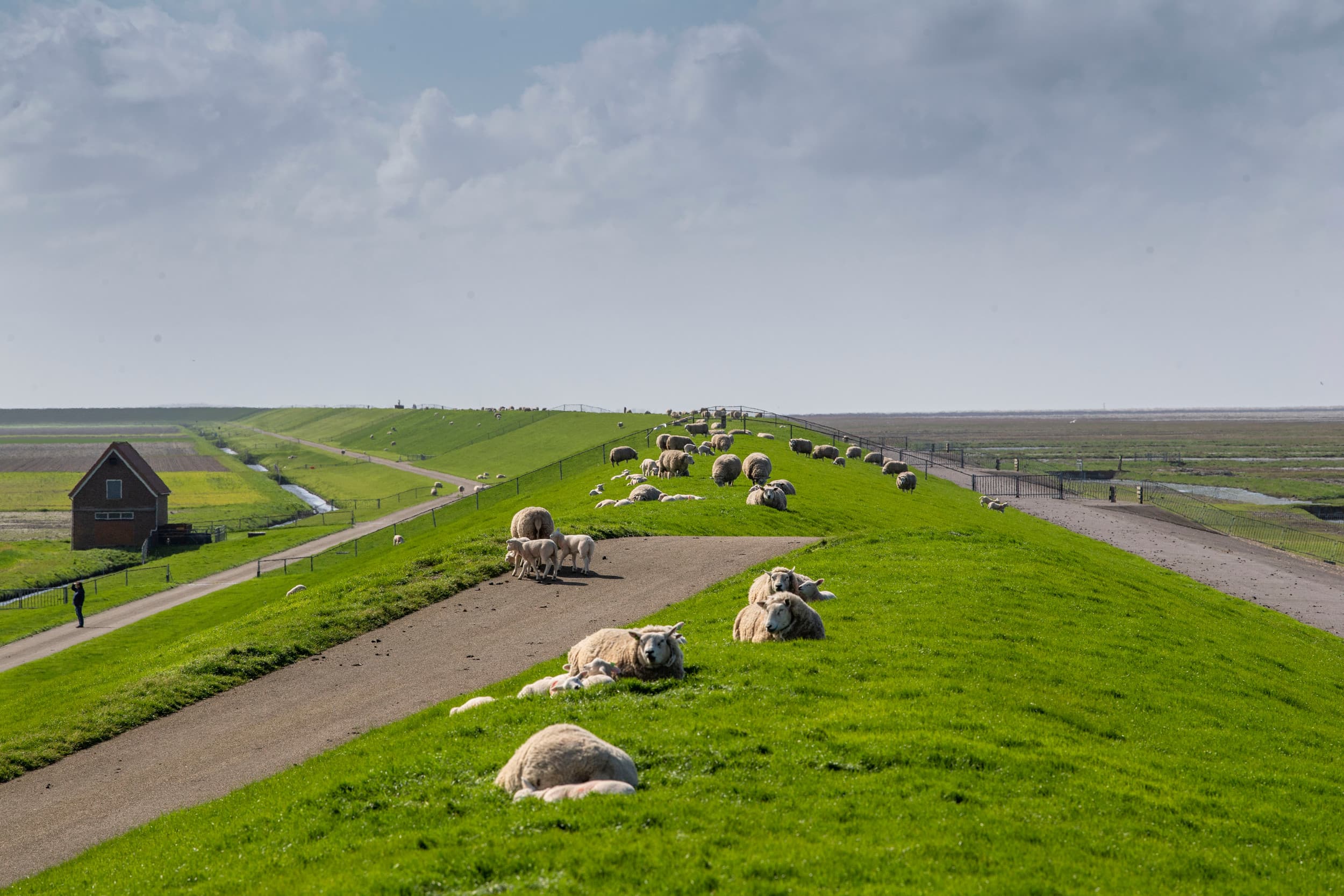 nieuw kabinet en stikstof en landbouw