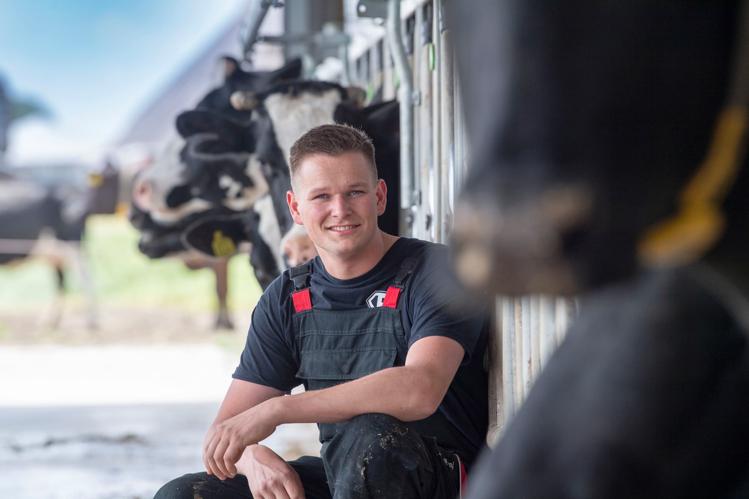 Opvolger Marthijn Aalfs: “Mooi werk: op een rustig moment tussen de koeien lopen om ze te controleren.” – Foto’s: Mark Pasveer