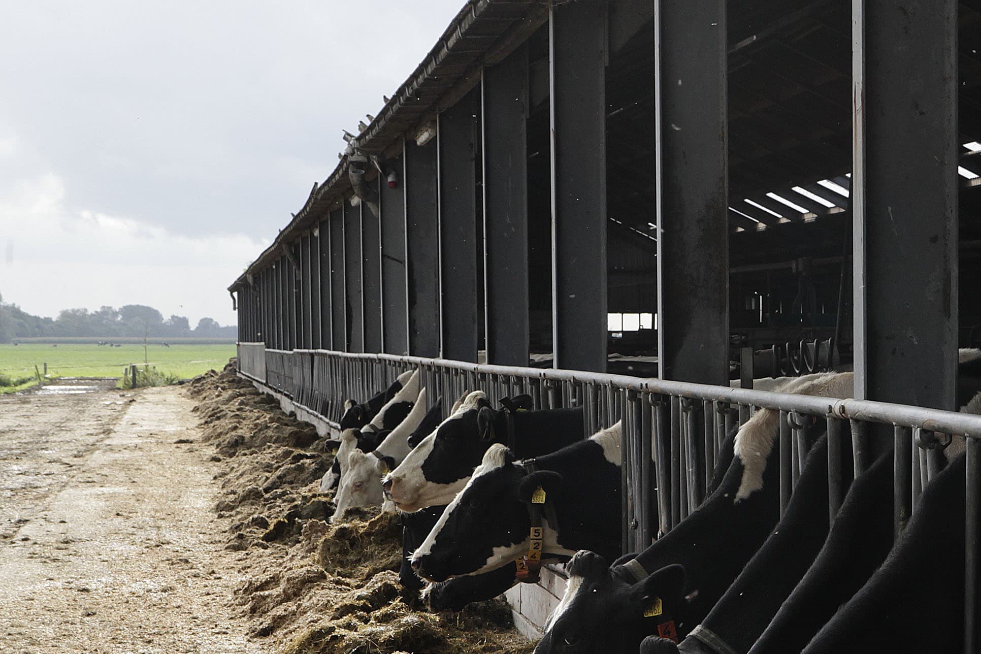 Bijna driekwart van de PAS-melders (1.822 dossiers) wacht momenteel nog op een besluit of oplossing. – Foto: Hans Prinsen
