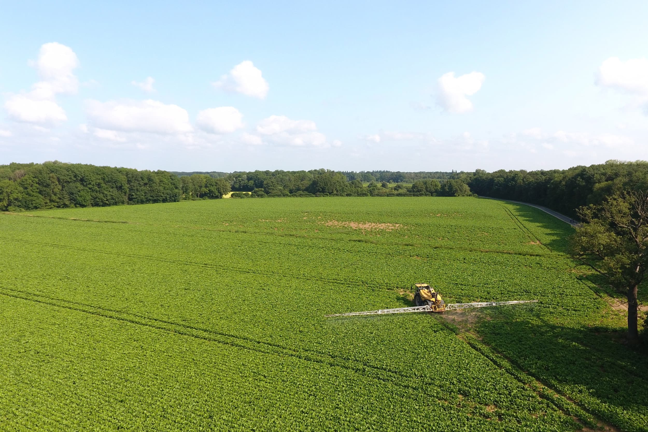 schadevergoeding rechtszaak Bayer
