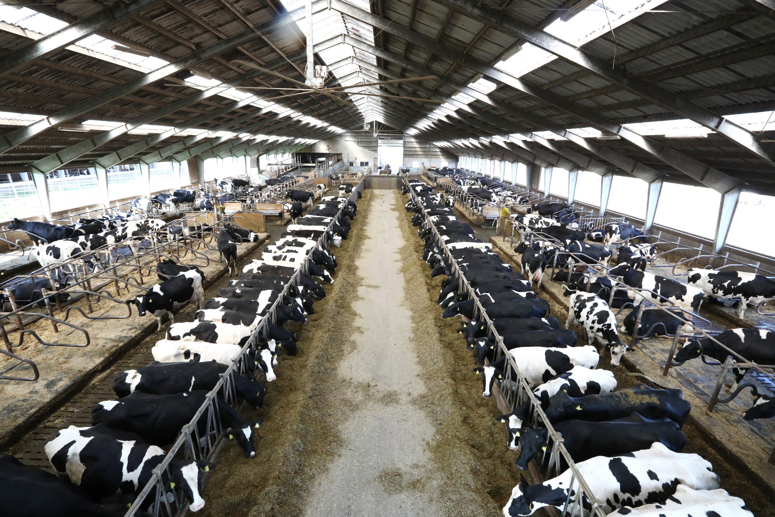 Deense boeren kunnen meedoen aan het FarmAhead-programma. – Foto: Henk Riswick