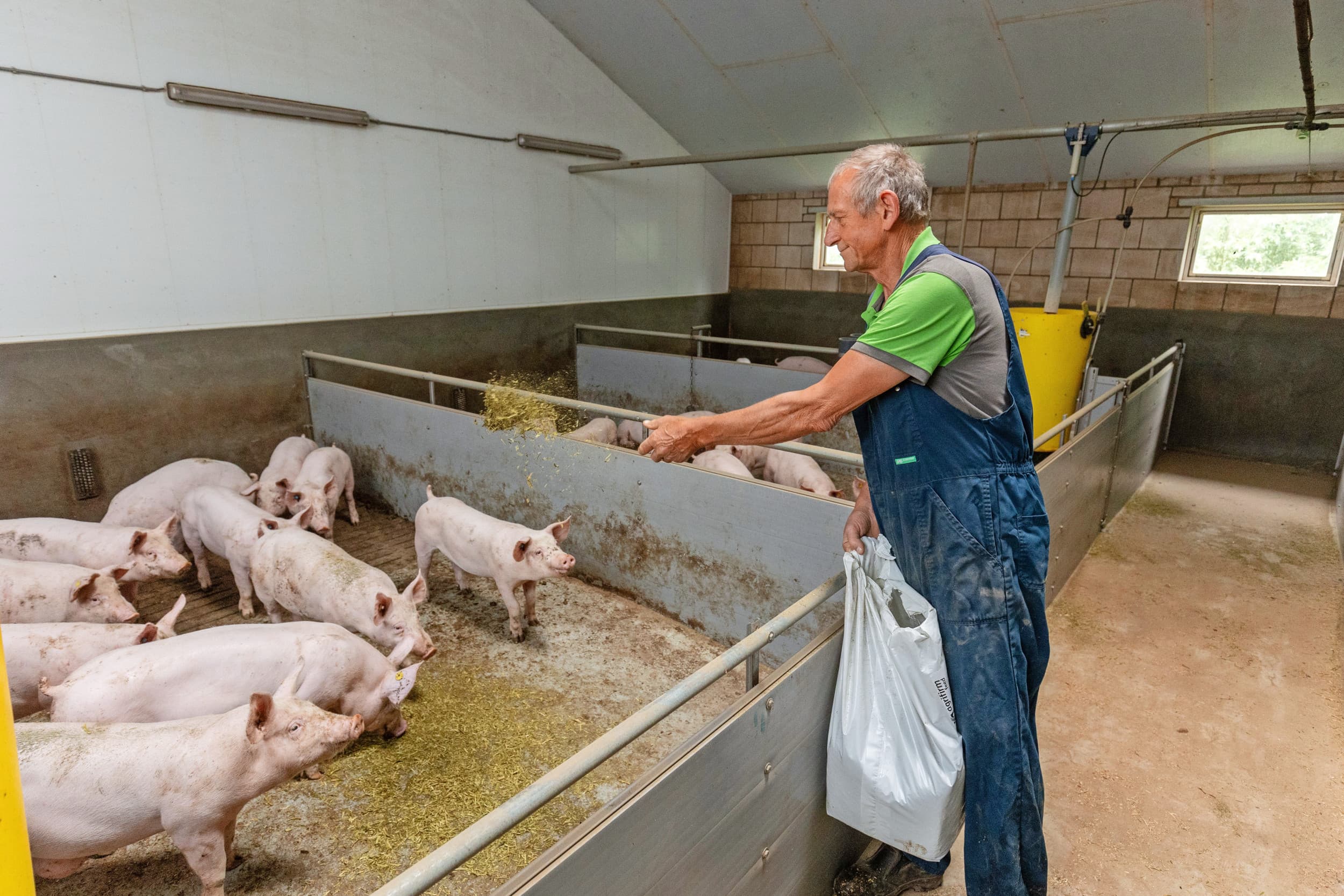 Werken volgens het Beter Leven-keurmerk (BLK) heeft snel opgang gemaakt. De prijs die varkenshouders krijgen is meestal gebaseerd op de marktprijs met een plus. Vooral de lagere bezetting per vierkante meter tikt hard door in het rendement. – Foto: Herbert Wiggerman
