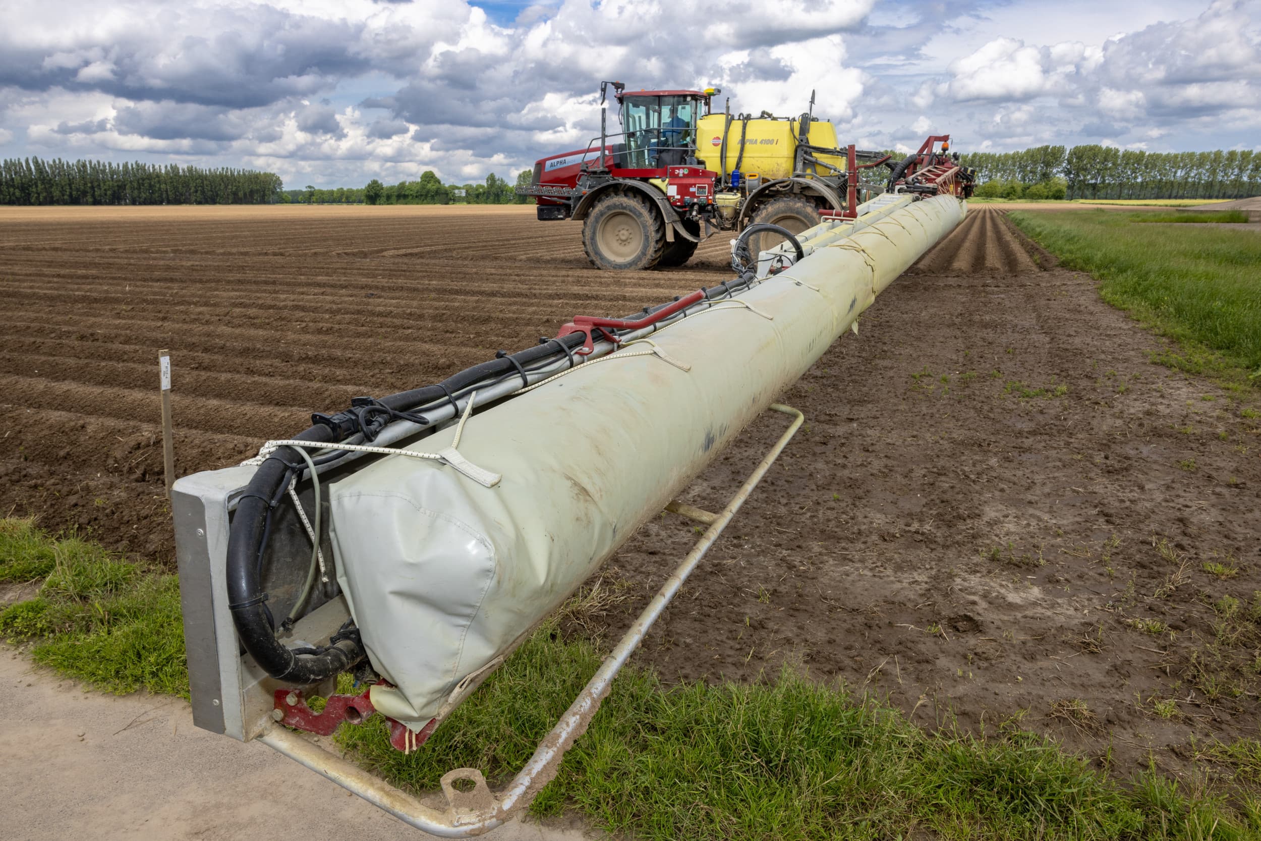 monitoring aardappelen op phytophthora
