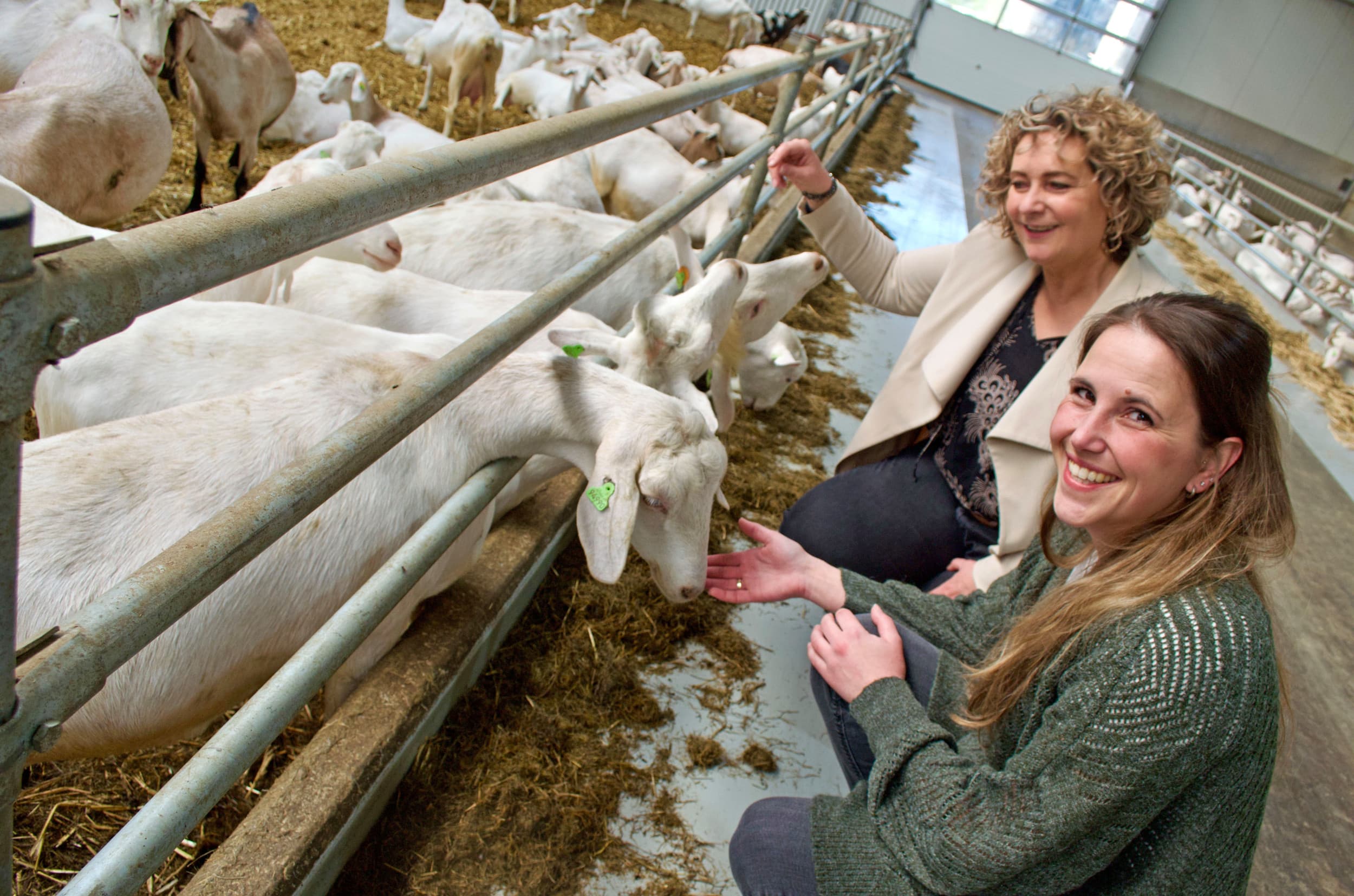 Franca Nunen (achter) begeleidde Lisette de Lange (voor) van biologische boerderij Zuylestein in Leersum (U.) Zij verkoopt nu haar eigen producten zoals geitenkaas, geitenmelkzeep en geitenvlees in zelfbedieningswinkel De Geitenkeet. Boven de stal startte ze een kleine vergaderruimte. – Foto: eigen foto
