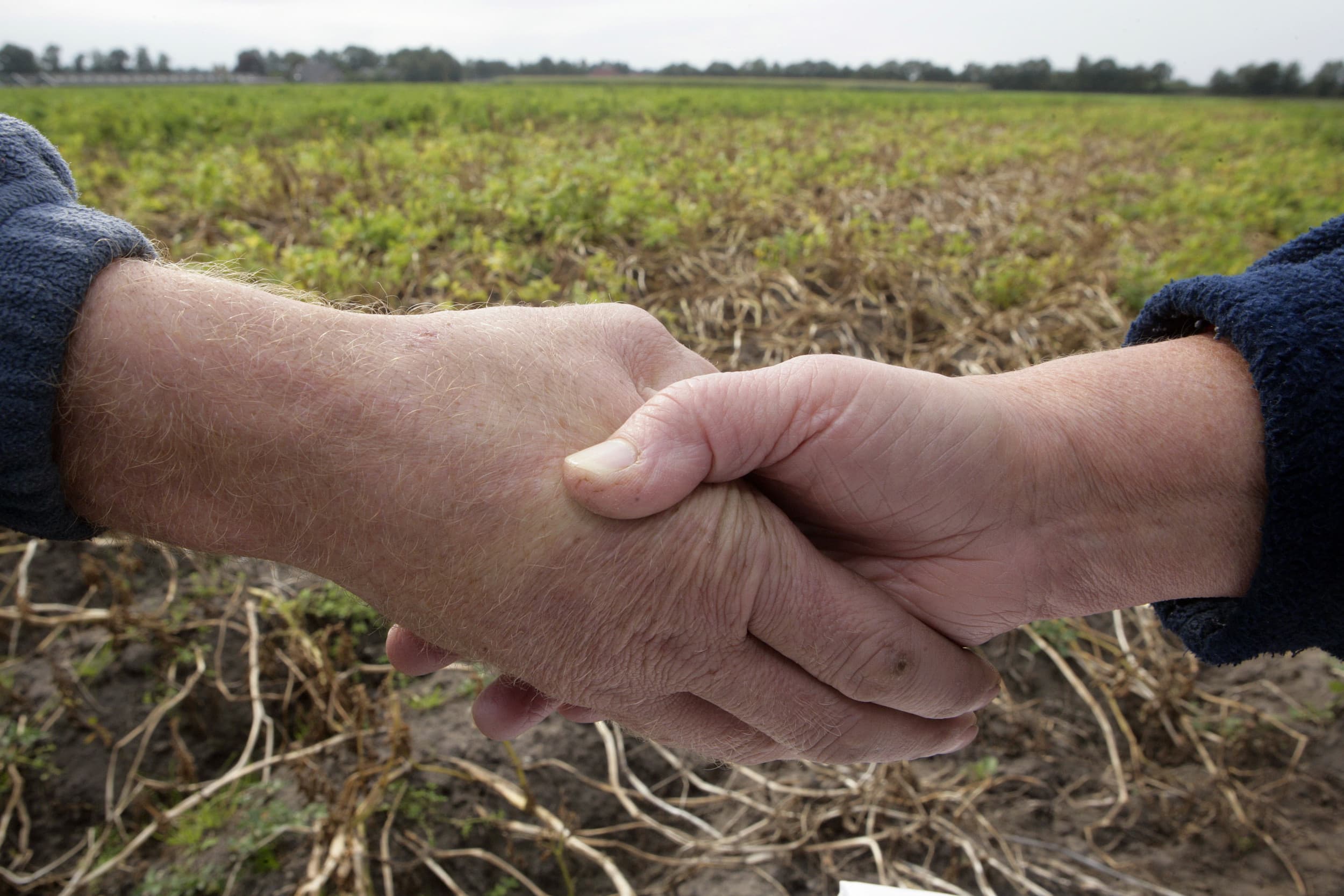 Een oom eigende zich op de boerderij erg veel ruimte toe. Dat werd ruzie, die te voorkomen was geweest als vooraf doelen duidelijk gesteld waren. - Foto: Henk Riswick