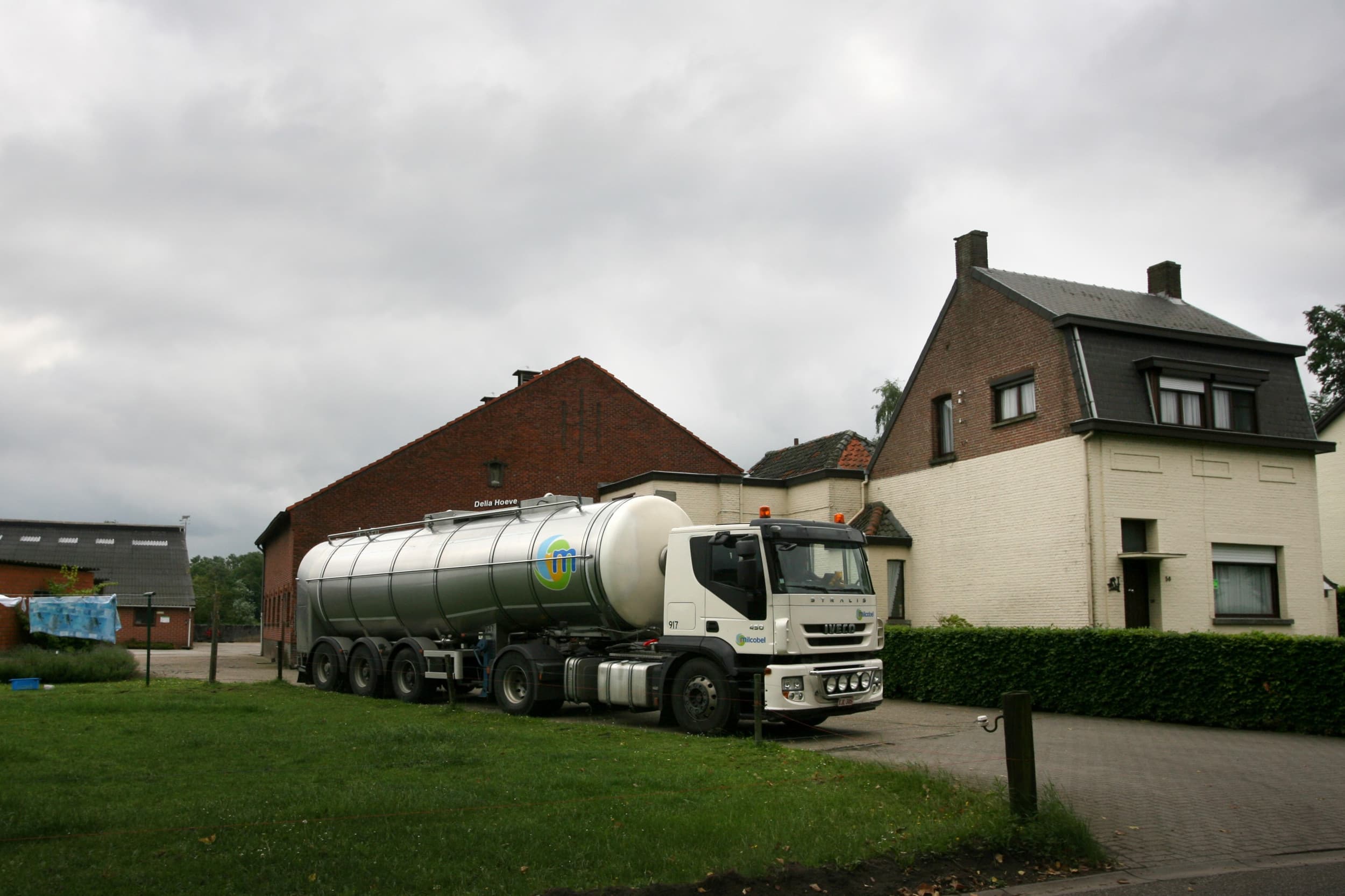 oorzaak verlies zuivelbedrijf Milcobel