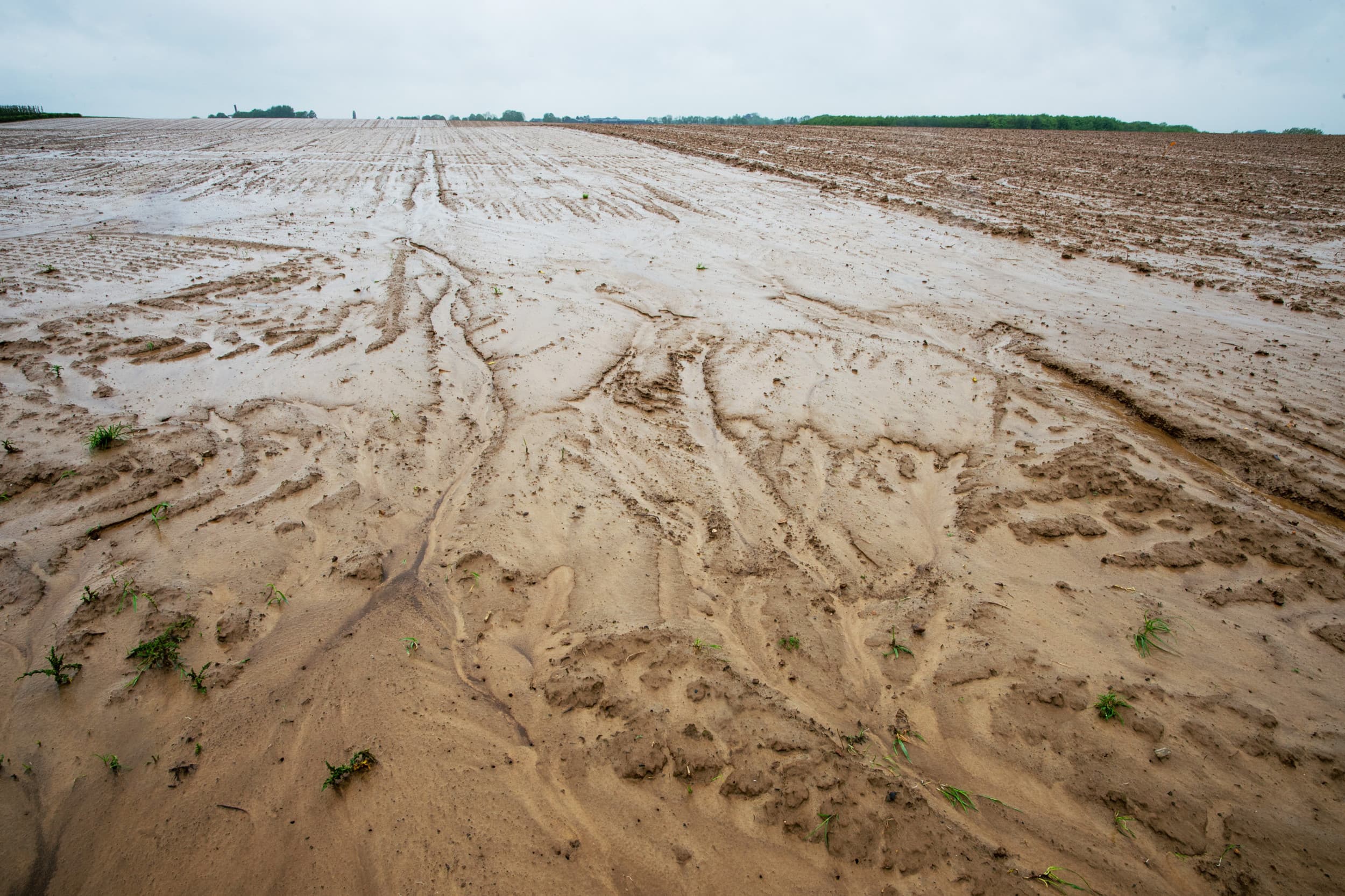 van recorddroogte naar recordhoeveelheid water