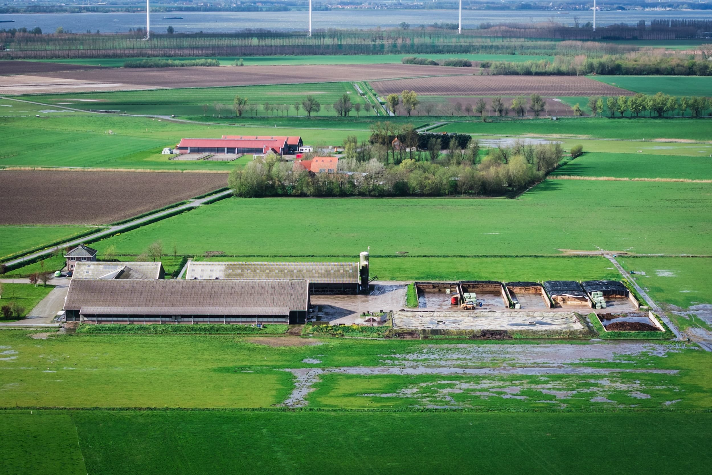 Foto ter illustratie. Een omwonende uit Uden stapte naar de rechter om de vergunning voor een uitbreiding van een varkensstal in te laten trekken, omdat hij vond dat de cumulatieve geurhinder op zijn eigen woning en de bedrijfswoning van de ondernemer te hoog zou worden. – Foto: ANP