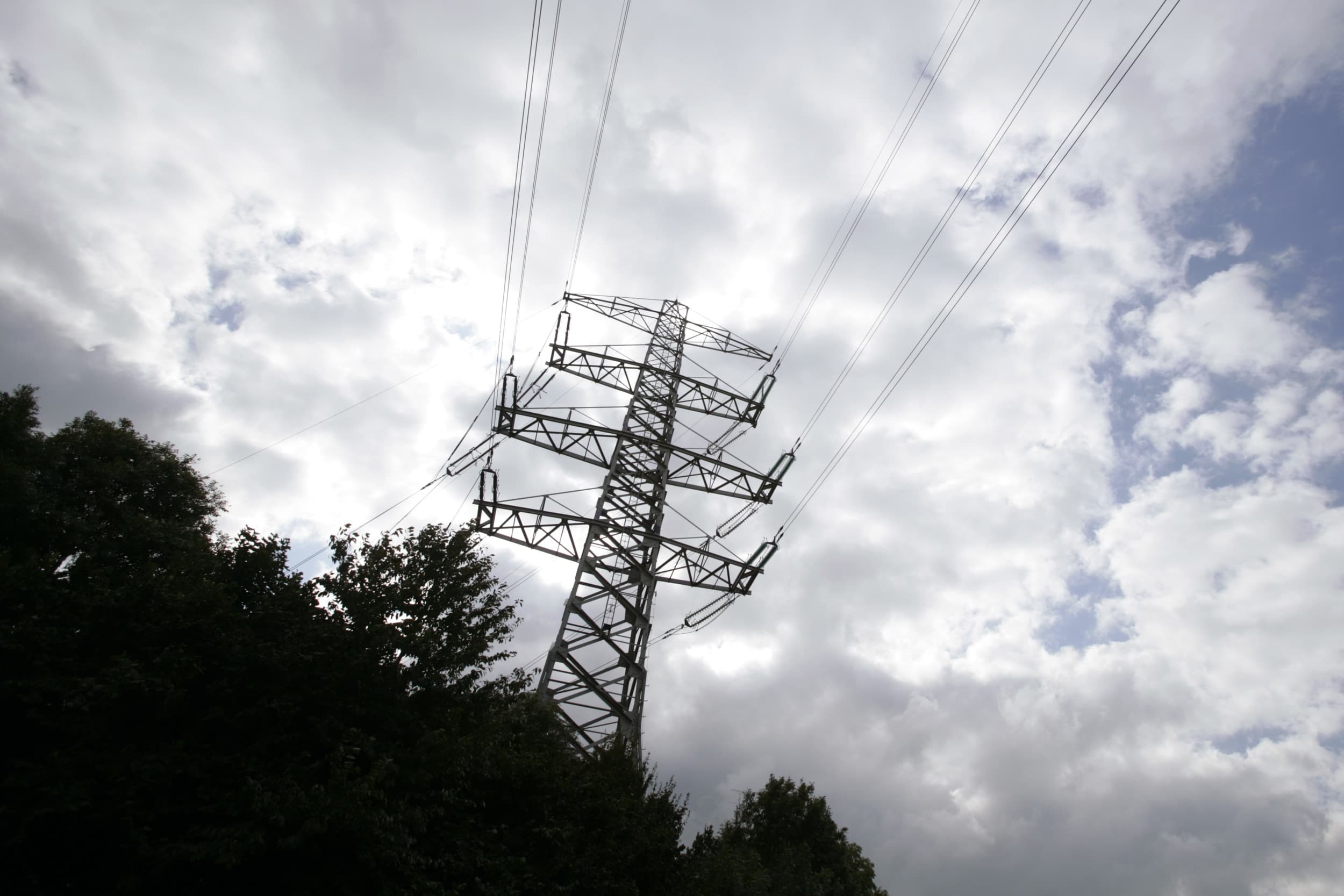 Hoogspanningsleidingen en telefoonmasten lijken ernstige gevolgen te hebben voor de gezondheid en prestaties van vee dat er in de buurt rondloopt of verblijft. - Foto: Michel Zoeter