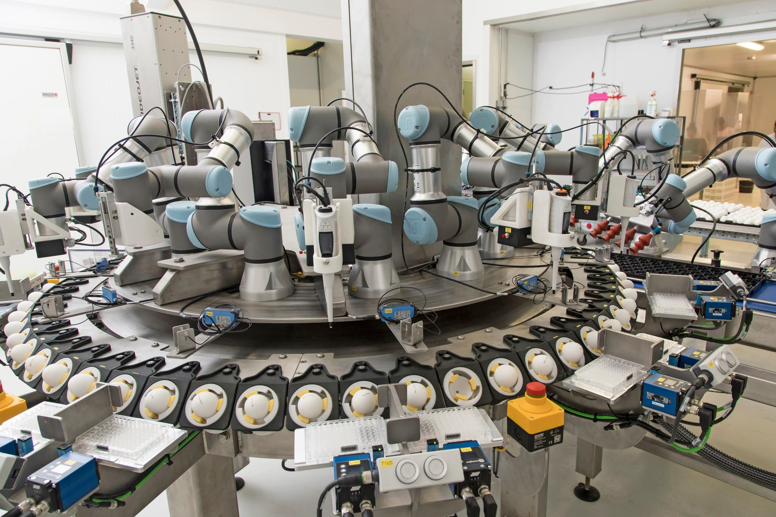 Machine van Respeggt in broederij in Barneveld. De geslachtsbepaling berust op de aan- of afwezigheid van vrouwelijk DNA in een klein beetje vloeistof dat uit het broedei wordt gehaald. – Foto: Koos Groenewold