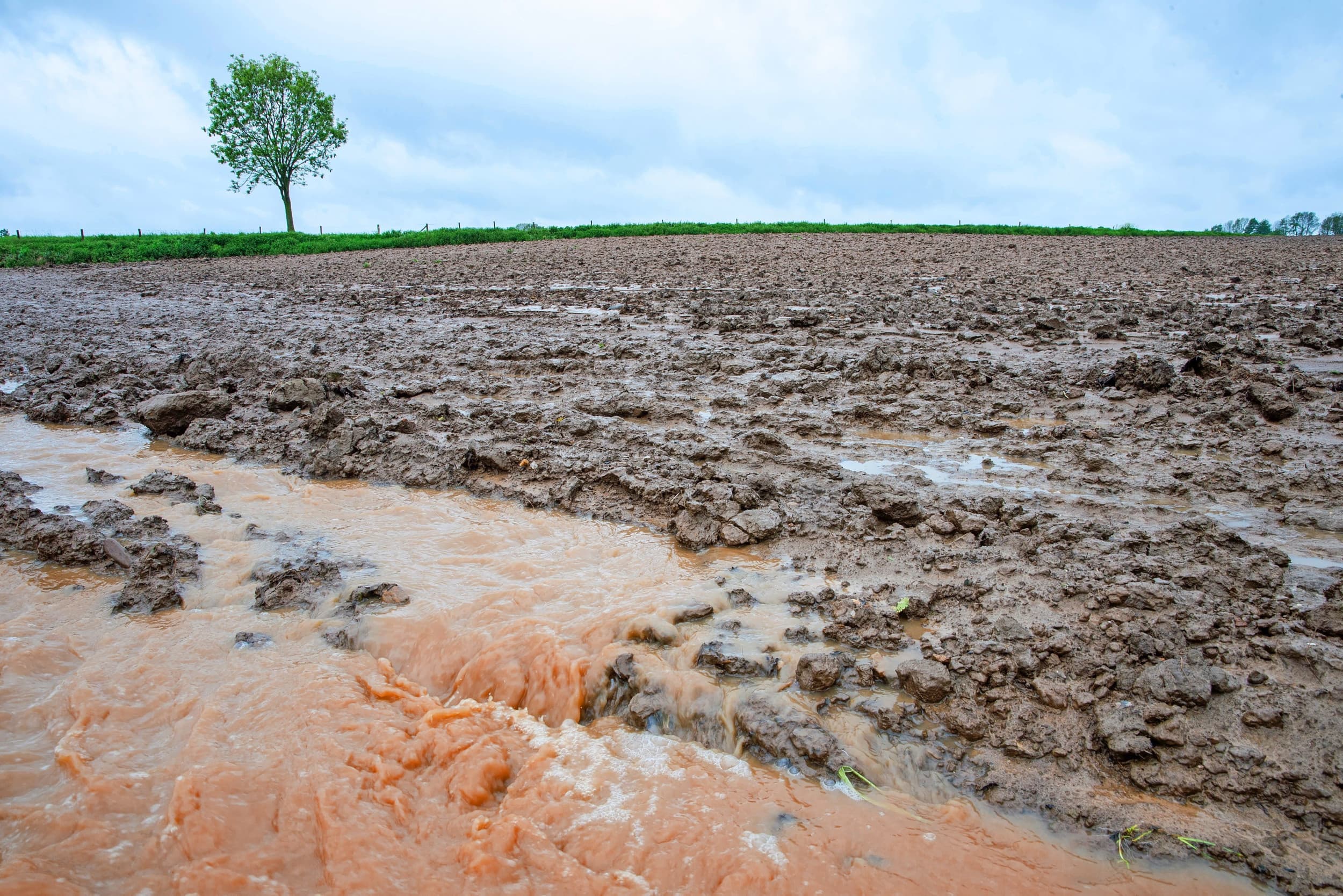 wateroverlast voorjaar bedreigt nu al oogst