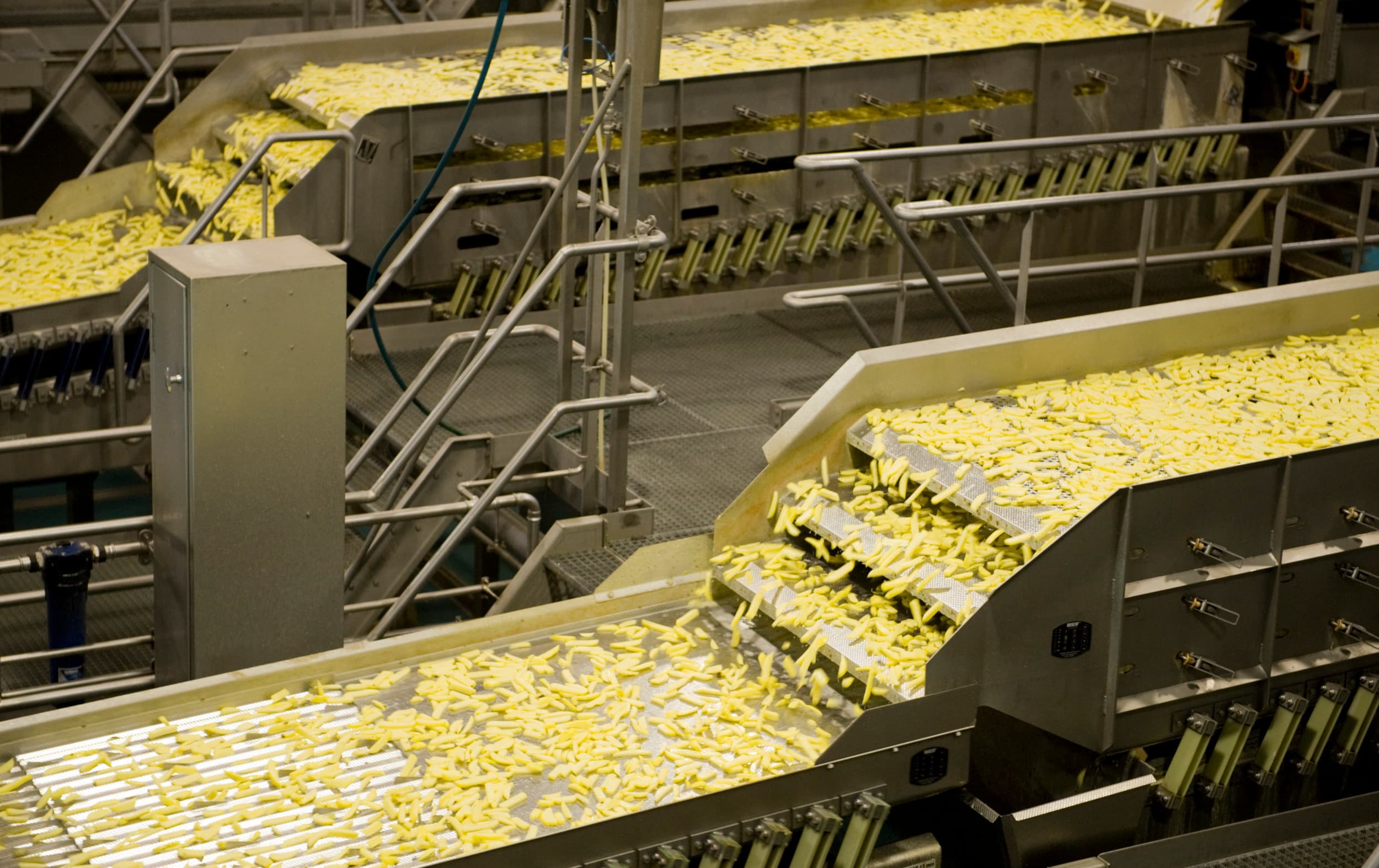 De Nederlandse fabrieken verwerkten in 2023 bijna 4 miljoen ton aardappelen, blijkt uit cijfers van brancheorganisatie Vavi. – Foto: Misset
