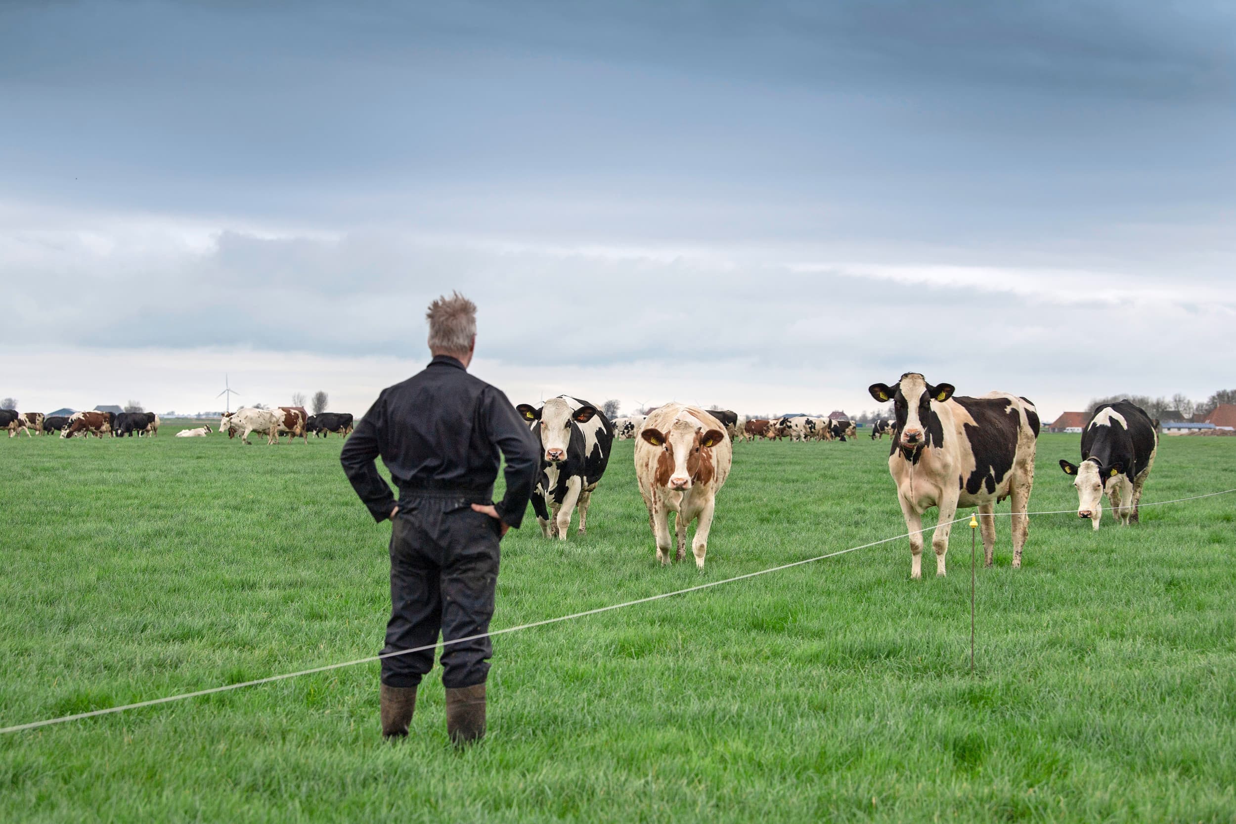 Melkveehouders maken op hun eigen manier besluiten waarbij vooral het eigen karakter de basis is. Vanzelfsprekend zijn er grote verschillen tussen ondernemers, zeker ook als gevolg van leeftijd. Foto: Mark Pasveer