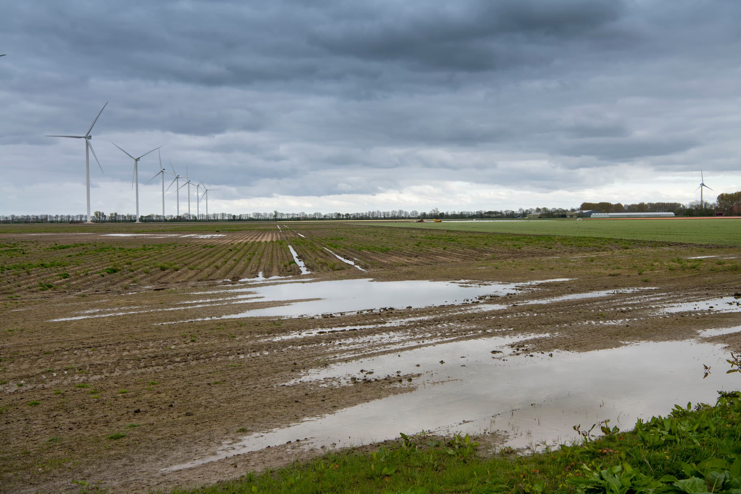 Als boeren de risico’s van klimaatverandering in beeld hebben, kunnen ze er volgens Gerry Kouwenhoven van Hogeschool Inholland op inspelen. – Foto: Mark Pasveer