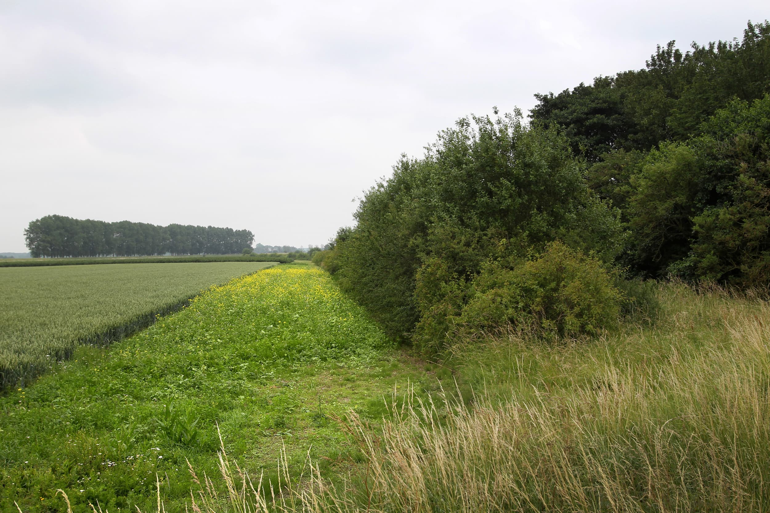 Foto: Peter Roek