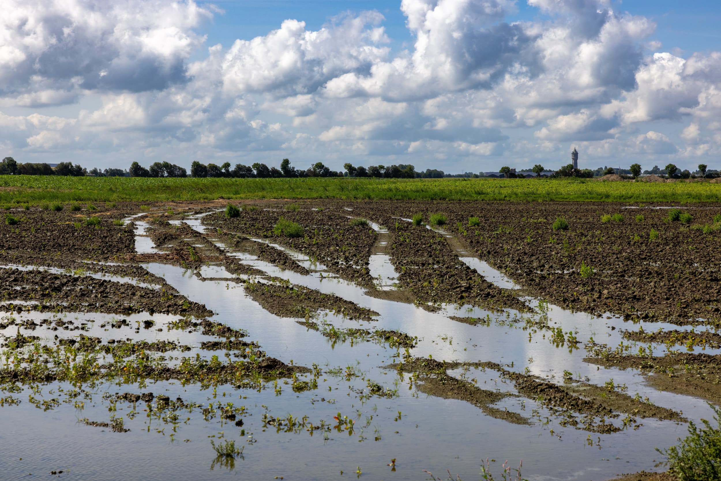 commentaar boerderij hoofdlijnenakkoord