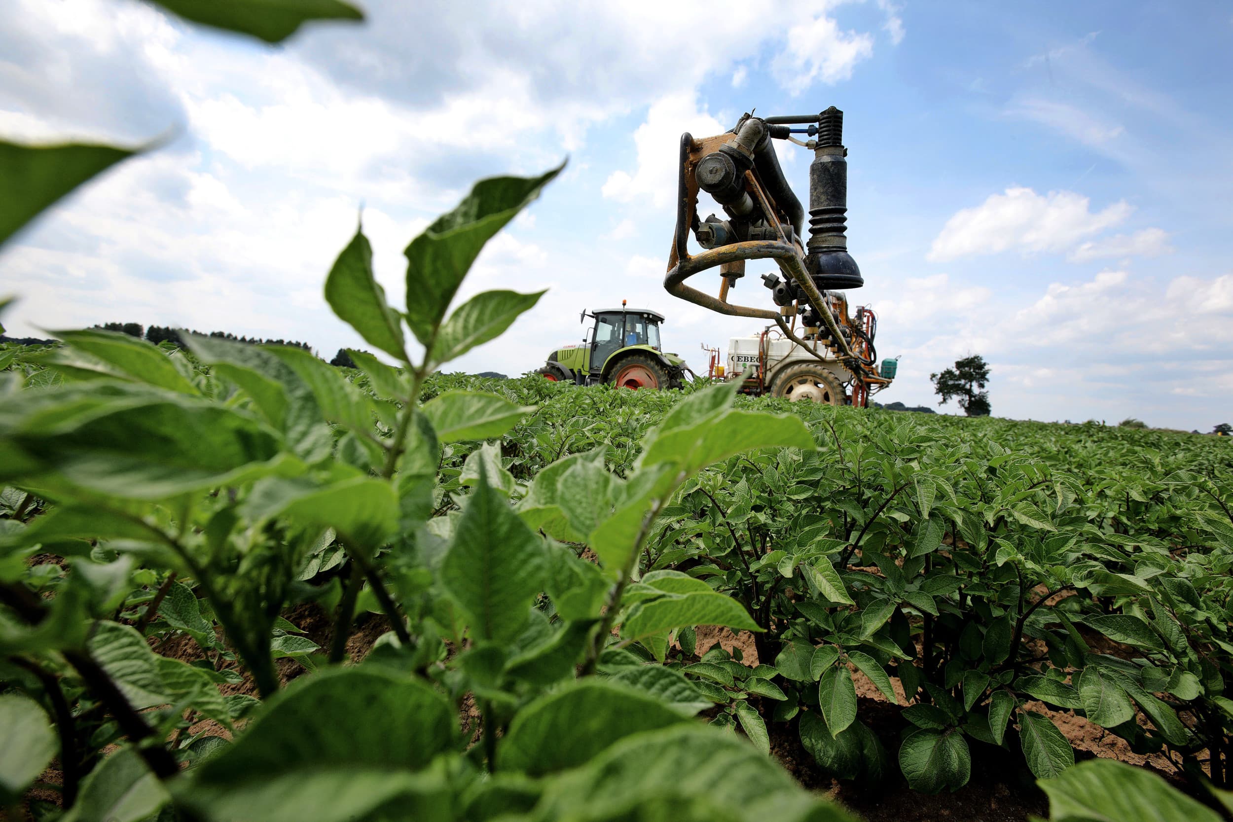 Phytophthora resistentie fungiciden